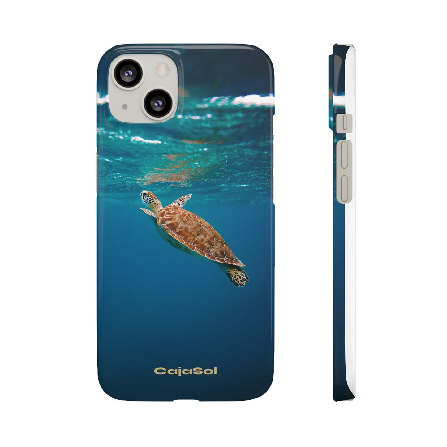 Sea Turtle Cajasol - Perfect for Beach Lovers