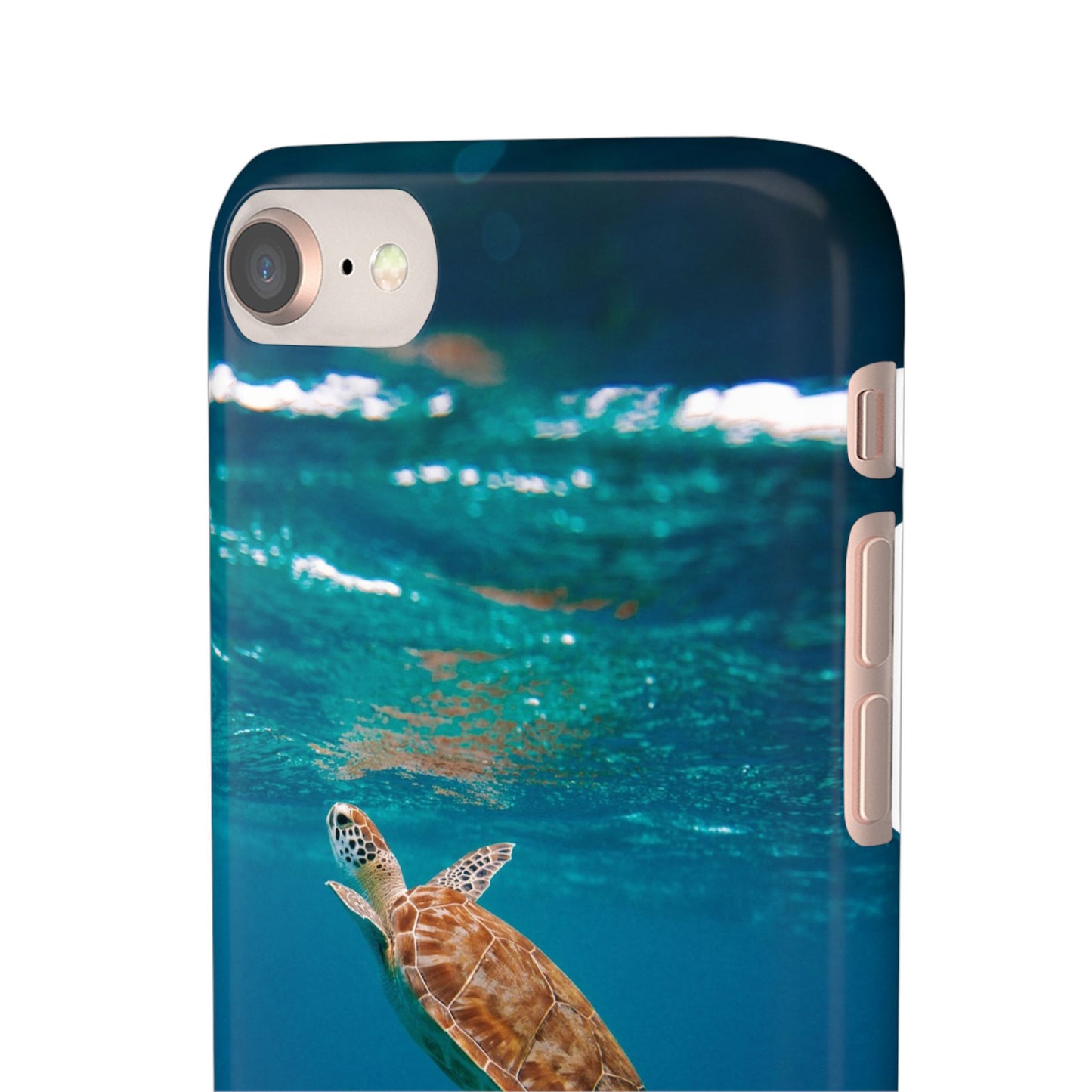 Sea Turtle Cajasol - Perfect for Beach Lovers