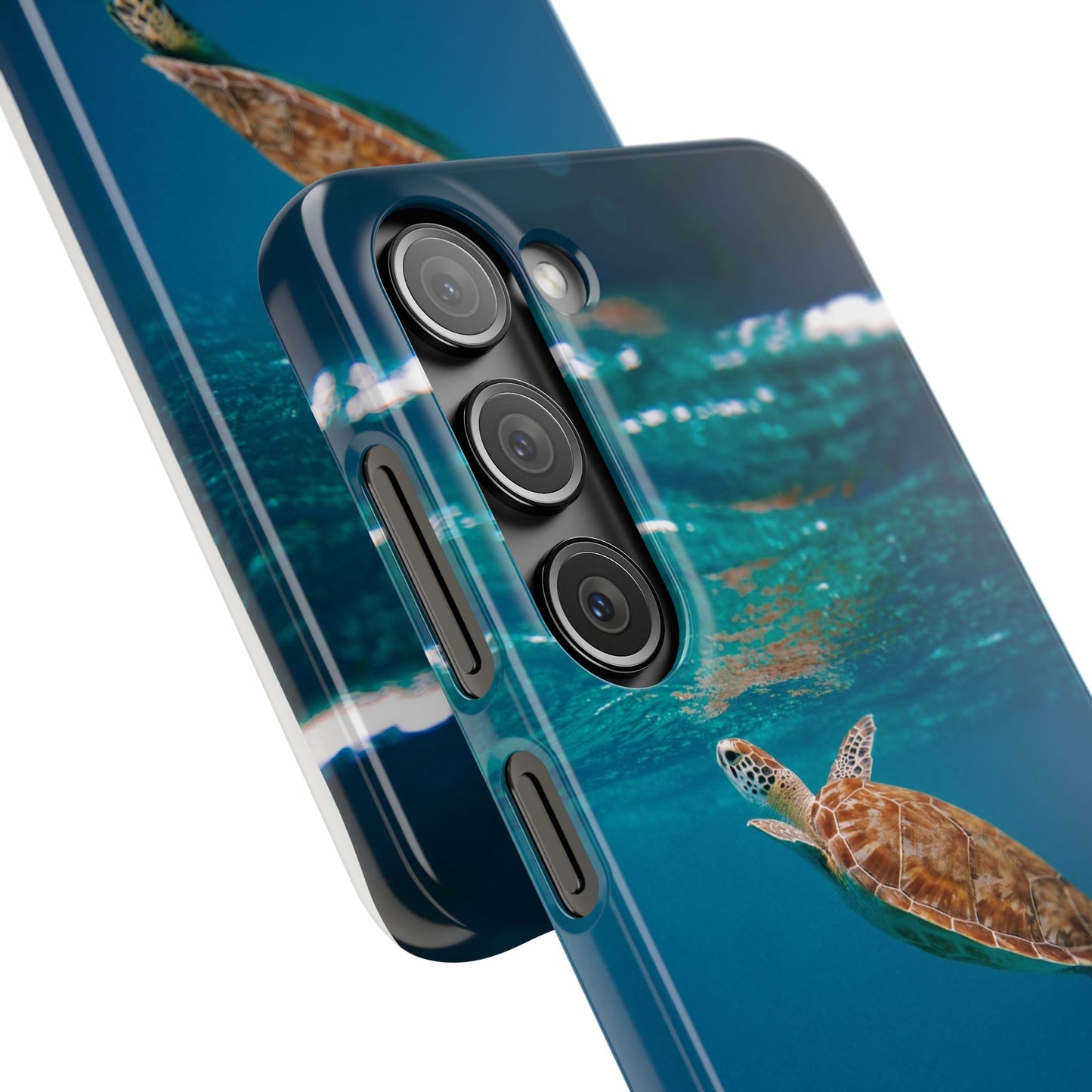 Sea Turtle Cajasol - Perfect for Beach Lovers