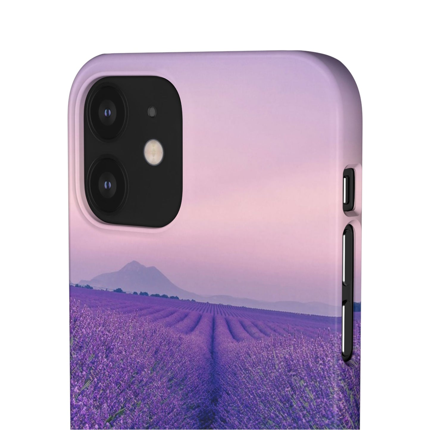 Lavender Fields Cajasol - A Floral Touch for Nature Lovers