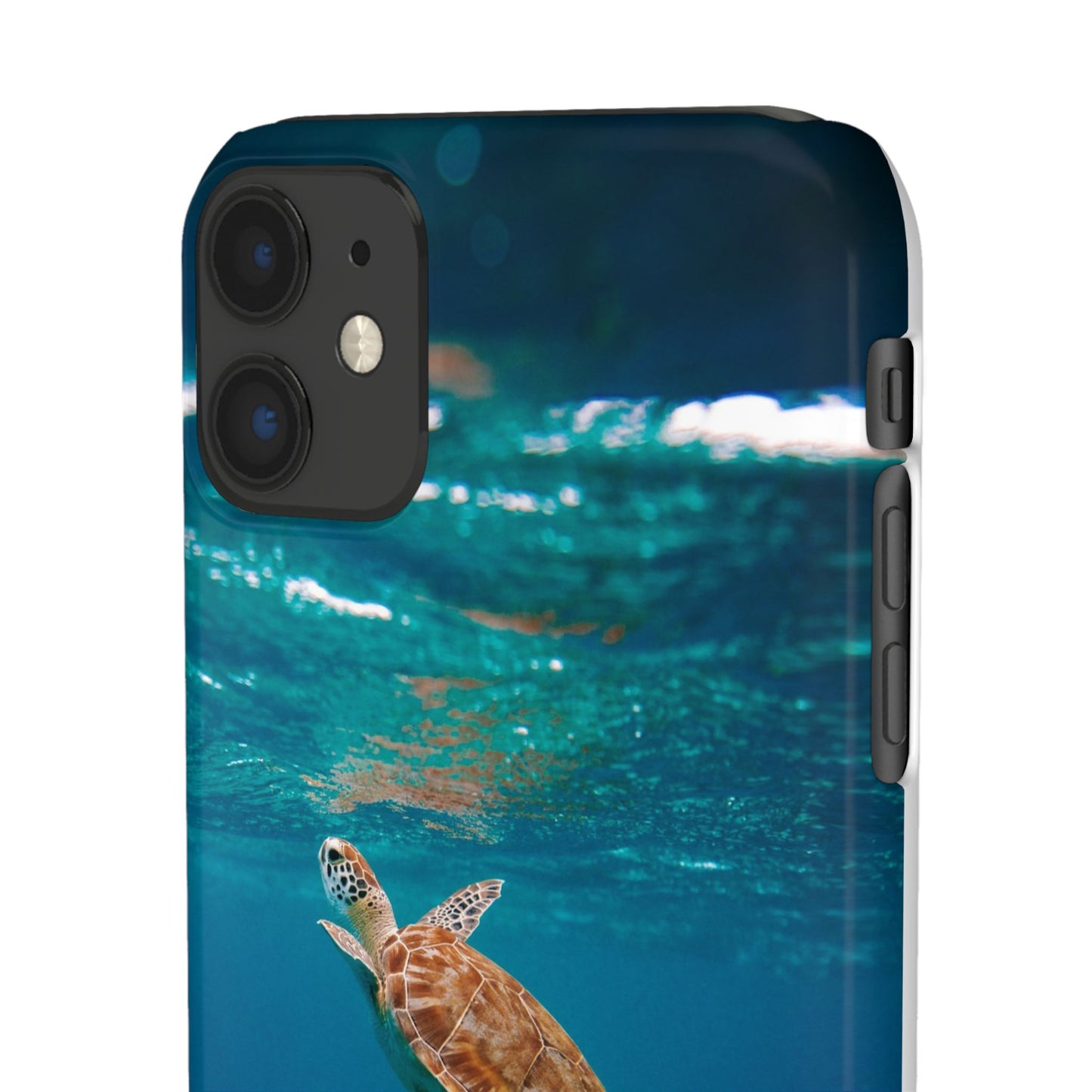 Sea Turtle Cajasol - Perfect for Beach Lovers