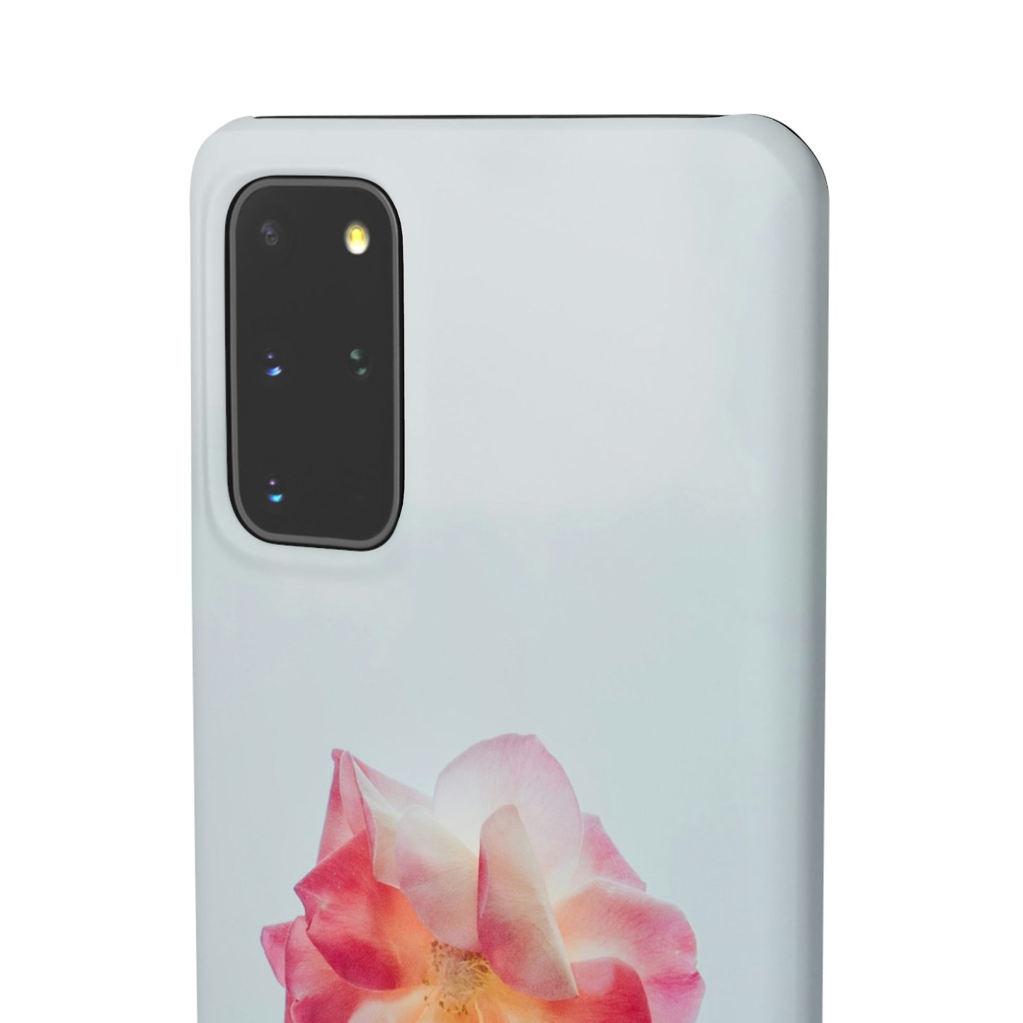 Floral Cajasol - Elegant Pink Flower