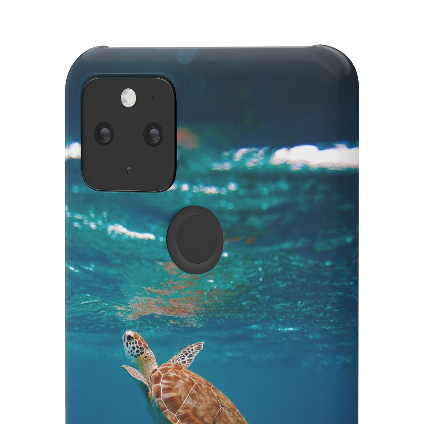 Sea Turtle Cajasol - Perfect for Beach Lovers