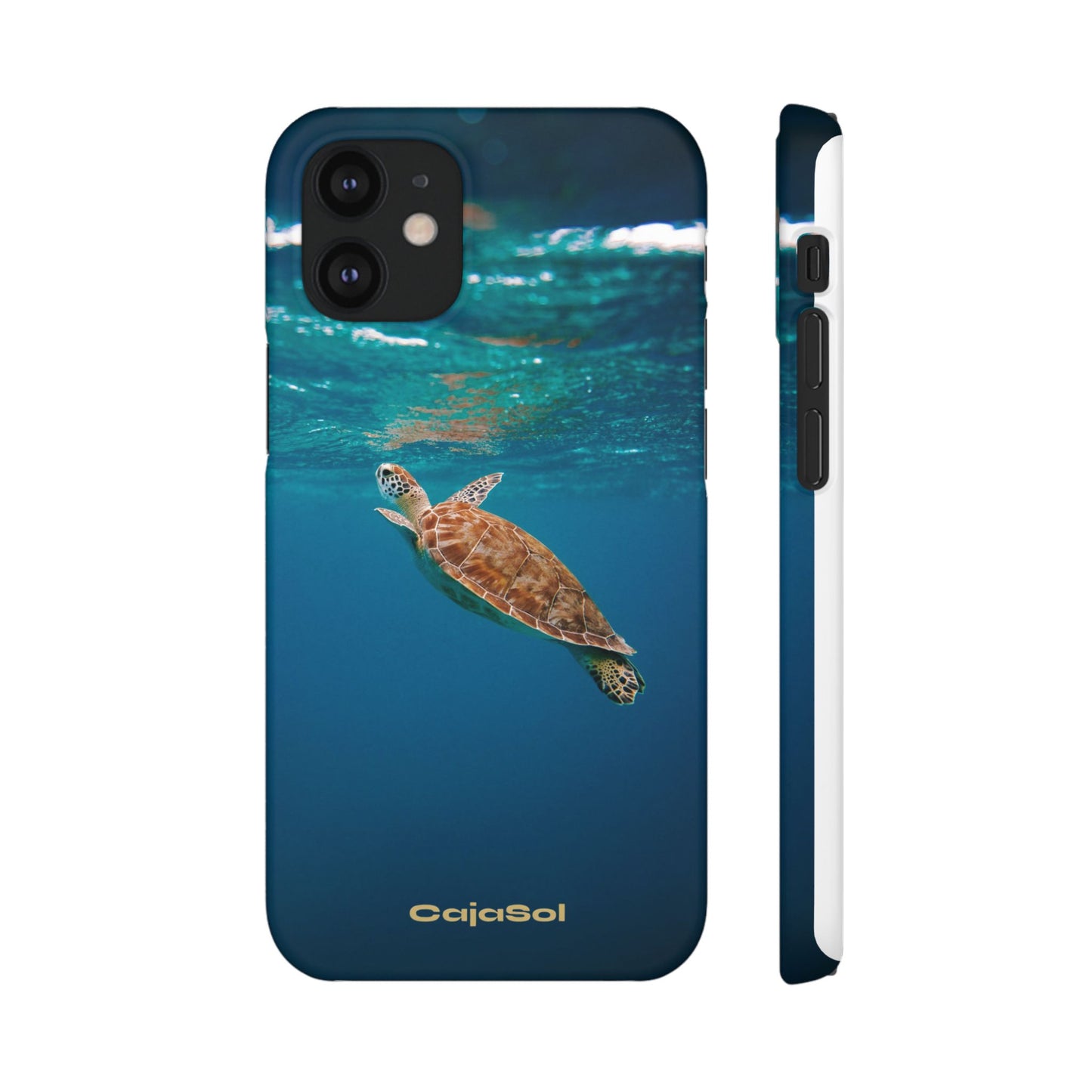 Sea Turtle Cajasol - Perfect for Beach Lovers
