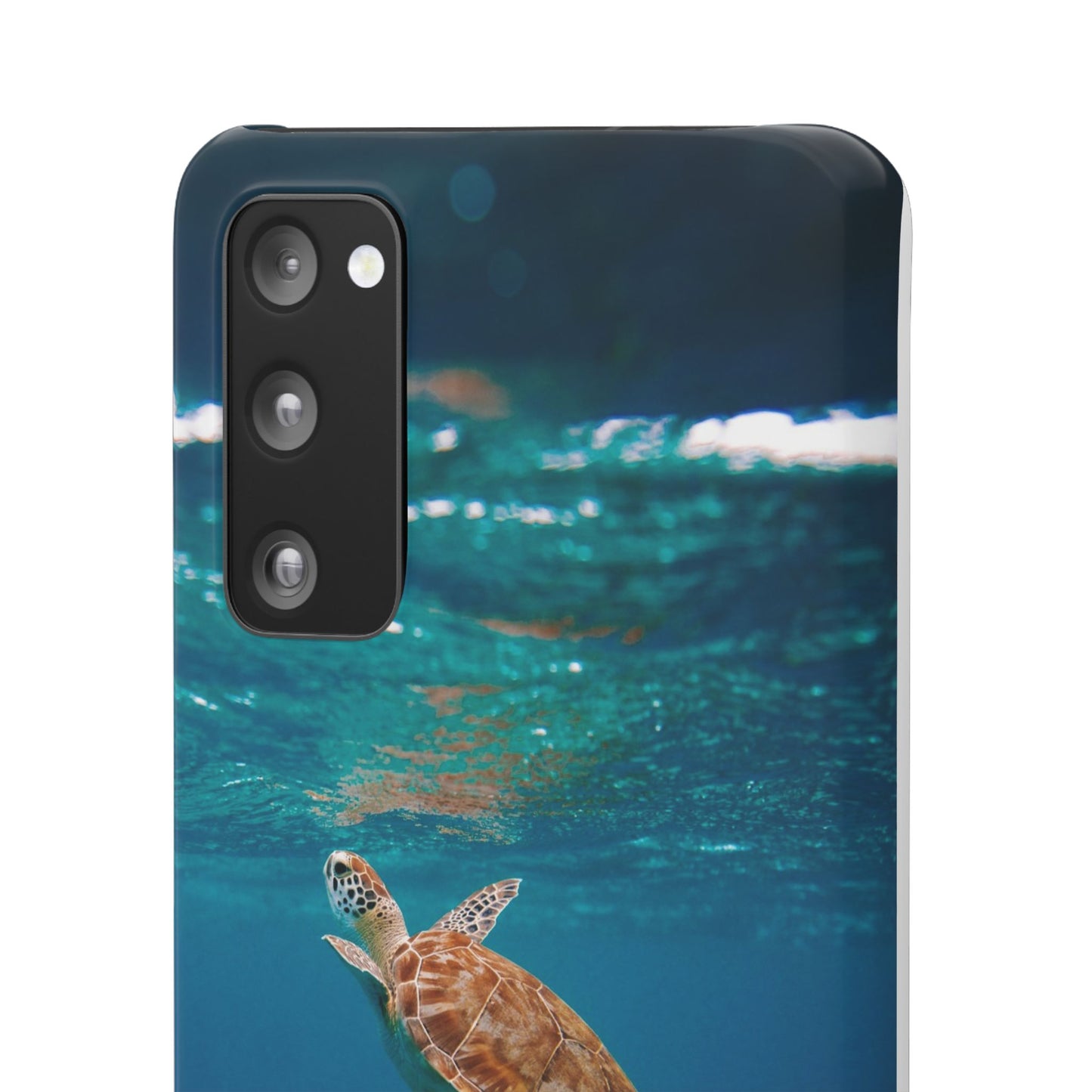 Sea Turtle Cajasol - Perfect for Beach Lovers
