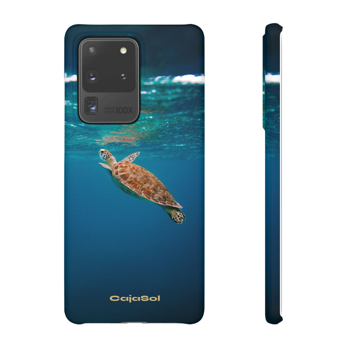 Sea Turtle Cajasol - Perfect for Beach Lovers