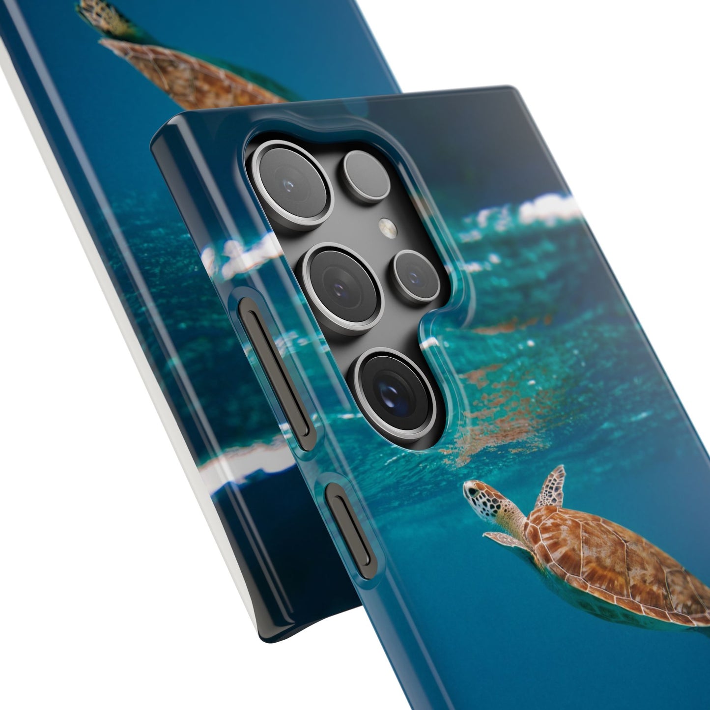 Sea Turtle Cajasol - Perfect for Beach Lovers