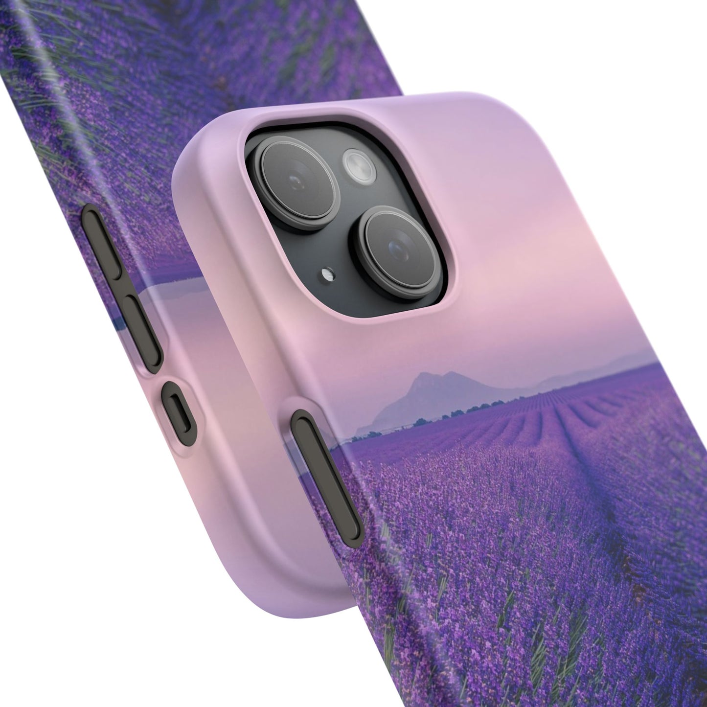 Lavender Fields Cajasol - A Floral Touch for Nature Lovers
