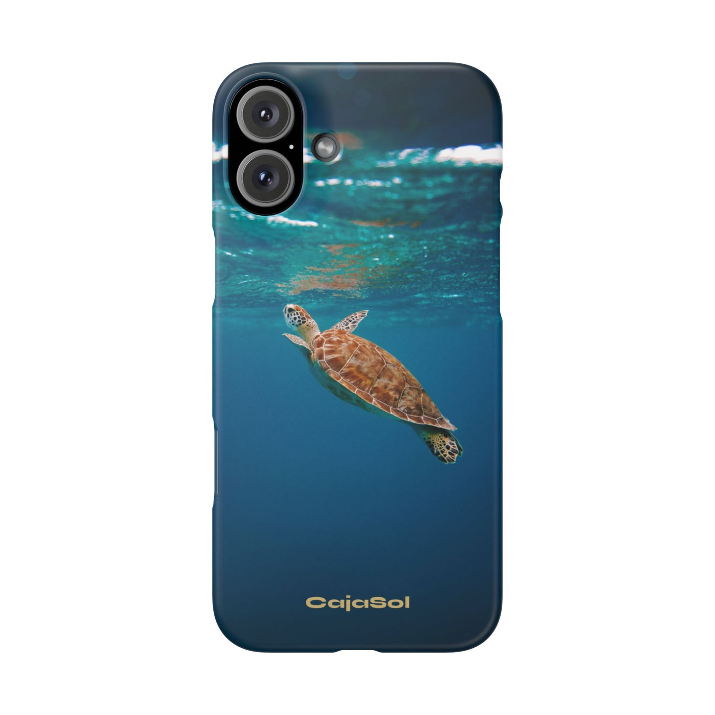 Sea Turtle Cajasol - Perfect for Beach Lovers