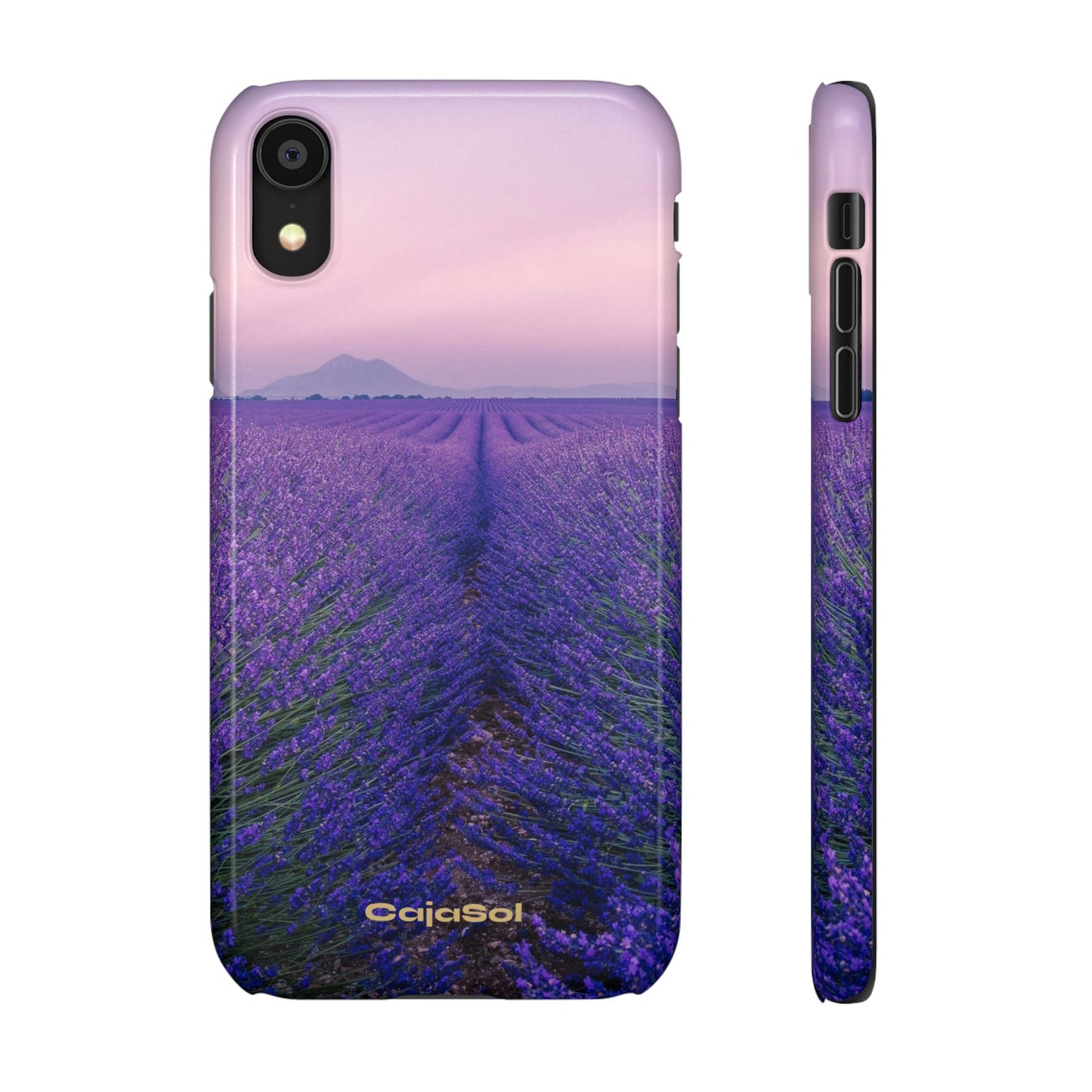 Lavender Fields Cajasol - A Floral Touch for Nature Lovers
