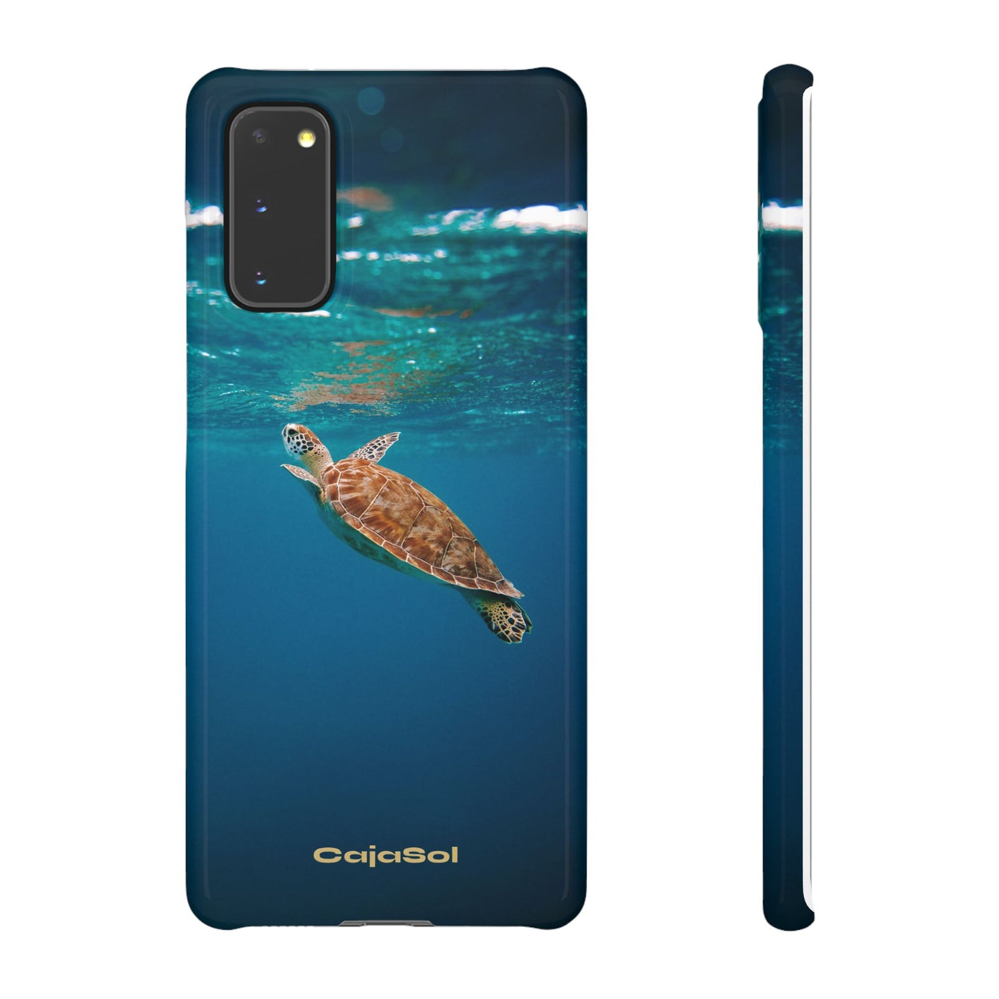 Sea Turtle Cajasol - Perfect for Beach Lovers
