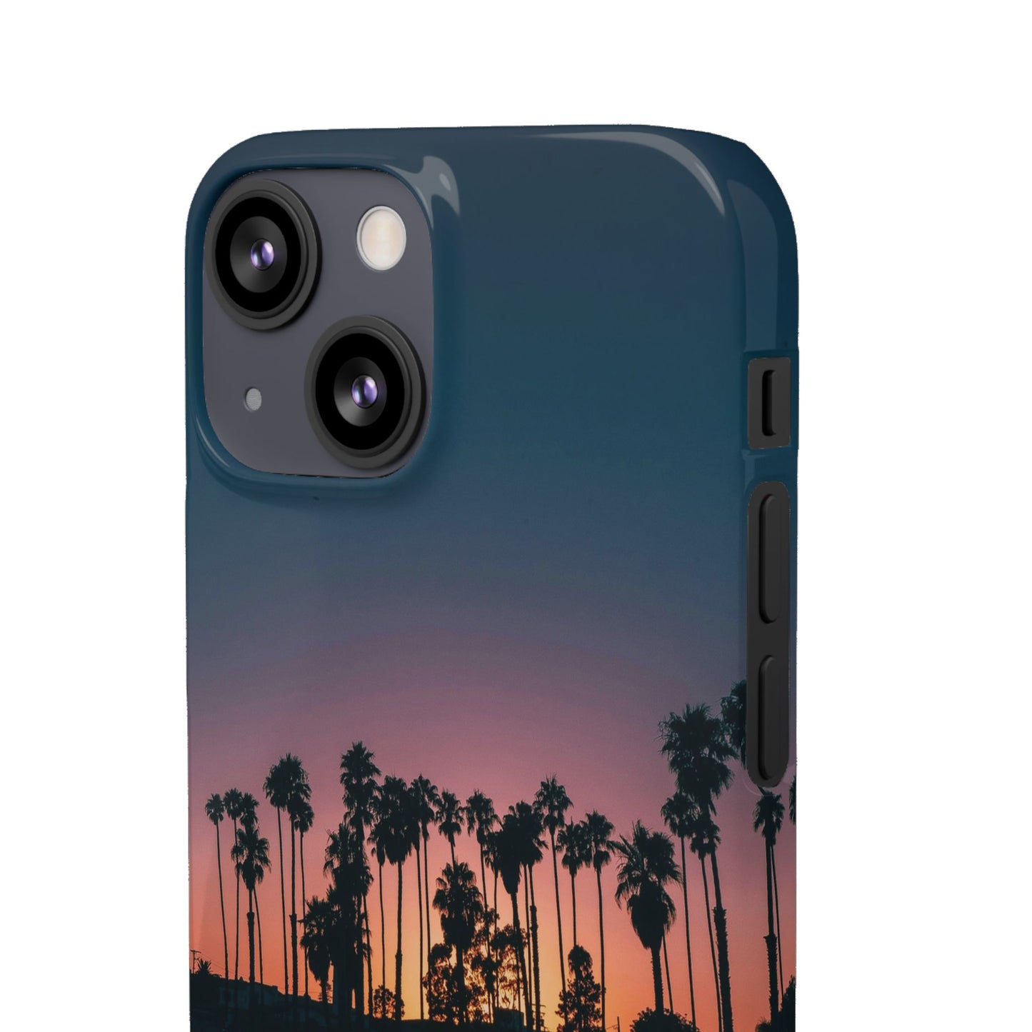 Tropical Sunset Cajasol - Vibrant Palm Tree