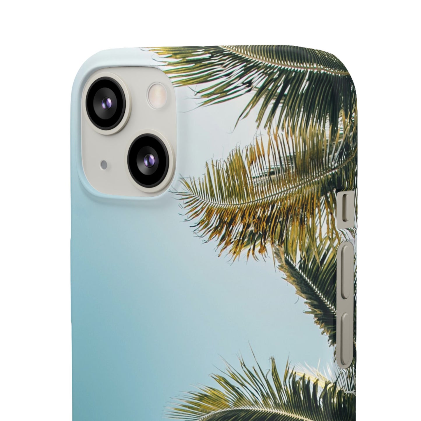 Tropical Palm Cajasol – Summer Vibes for Beach Lovers