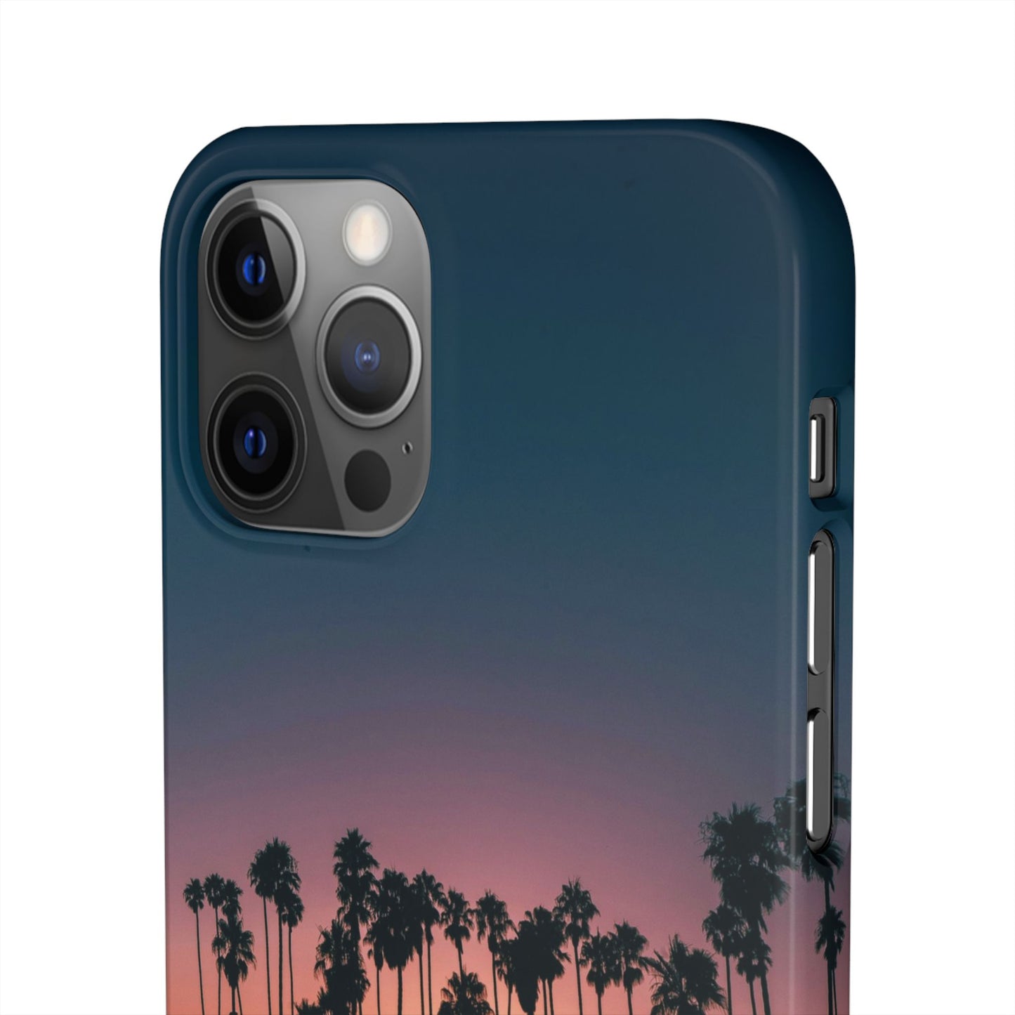 Tropical Sunset Cajasol - Vibrant Palm Tree