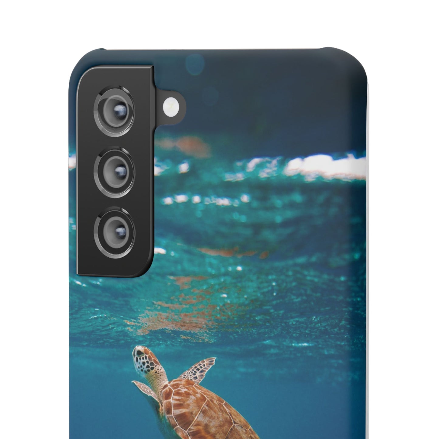 Sea Turtle Cajasol - Perfect for Beach Lovers