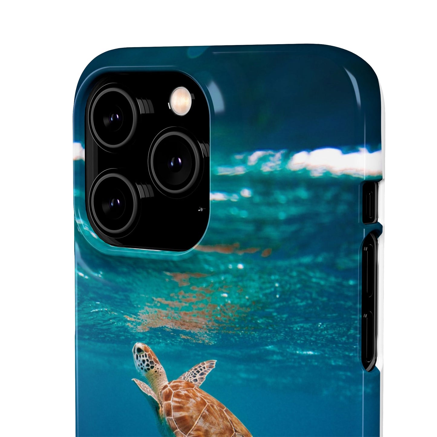 Sea Turtle Cajasol - Perfect for Beach Lovers