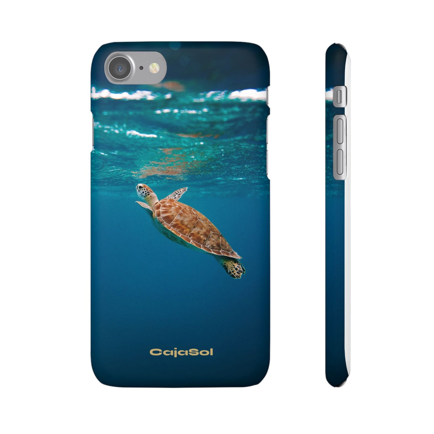 Sea Turtle Cajasol - Perfect for Beach Lovers