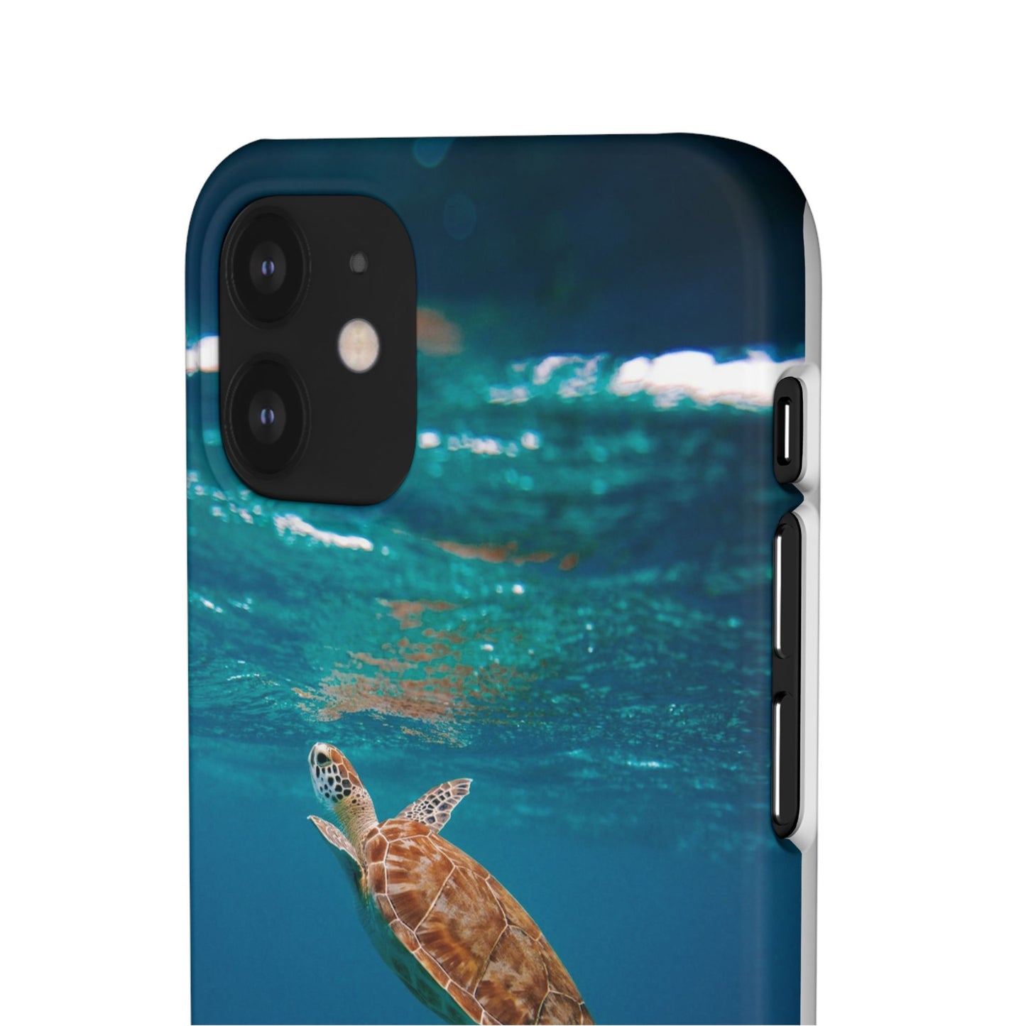 Sea Turtle Cajasol - Perfect for Beach Lovers