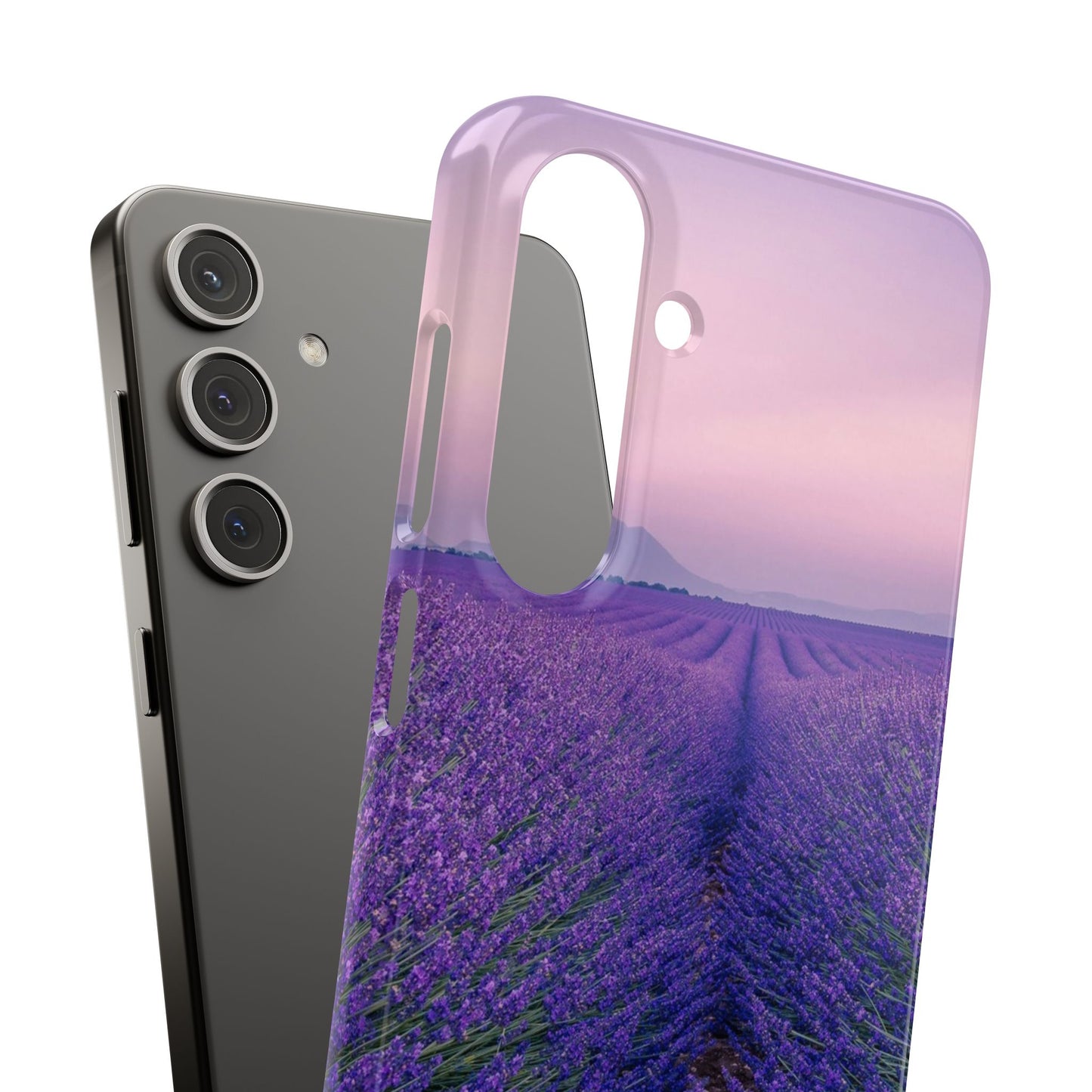 Lavender Fields Cajasol - A Floral Touch for Nature Lovers