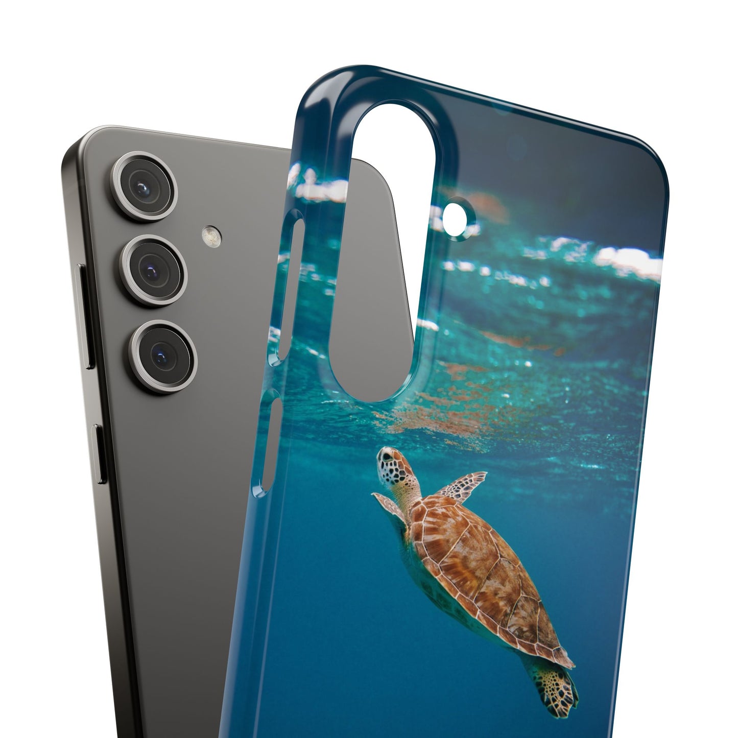 Sea Turtle Cajasol - Perfect for Beach Lovers