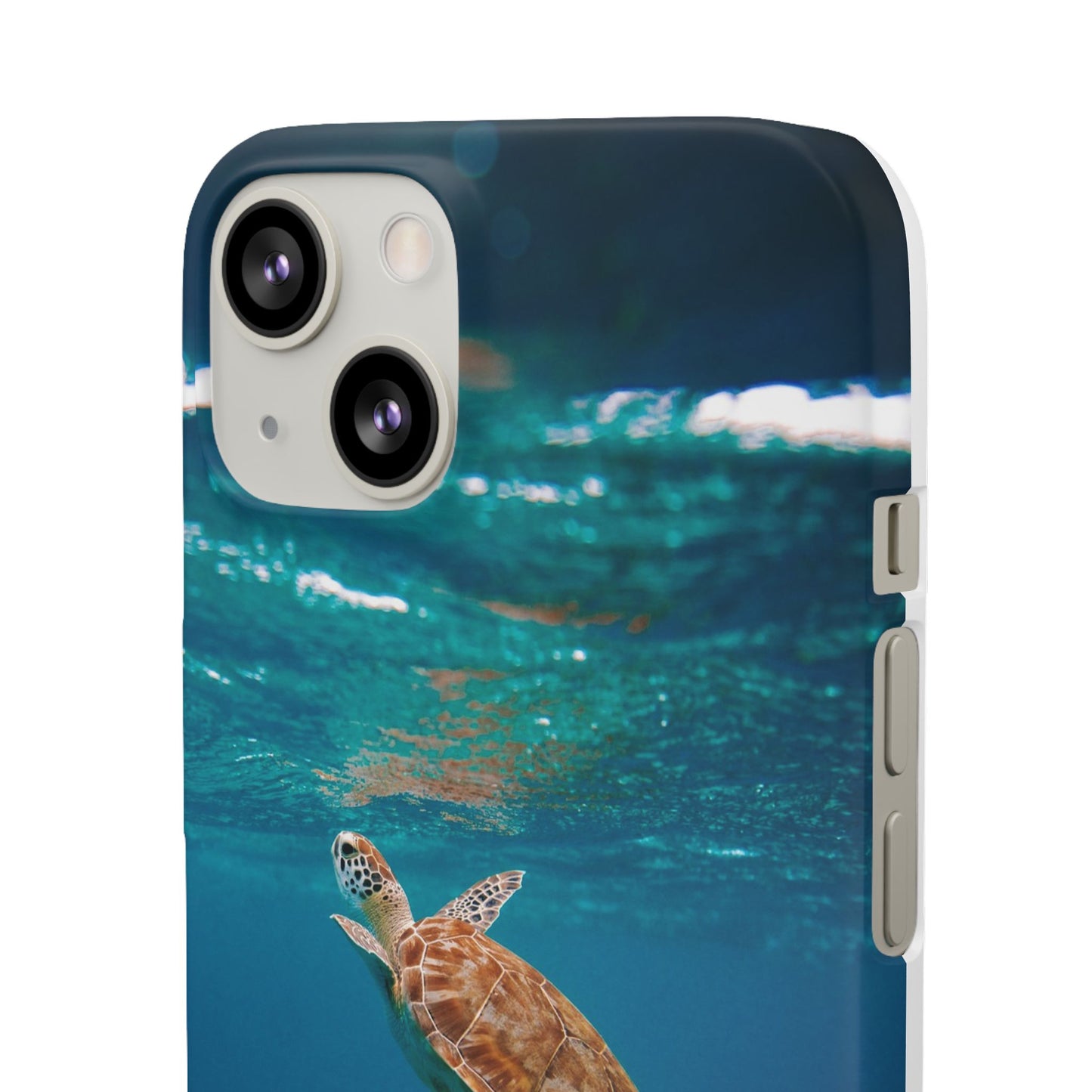 Sea Turtle Cajasol - Perfect for Beach Lovers