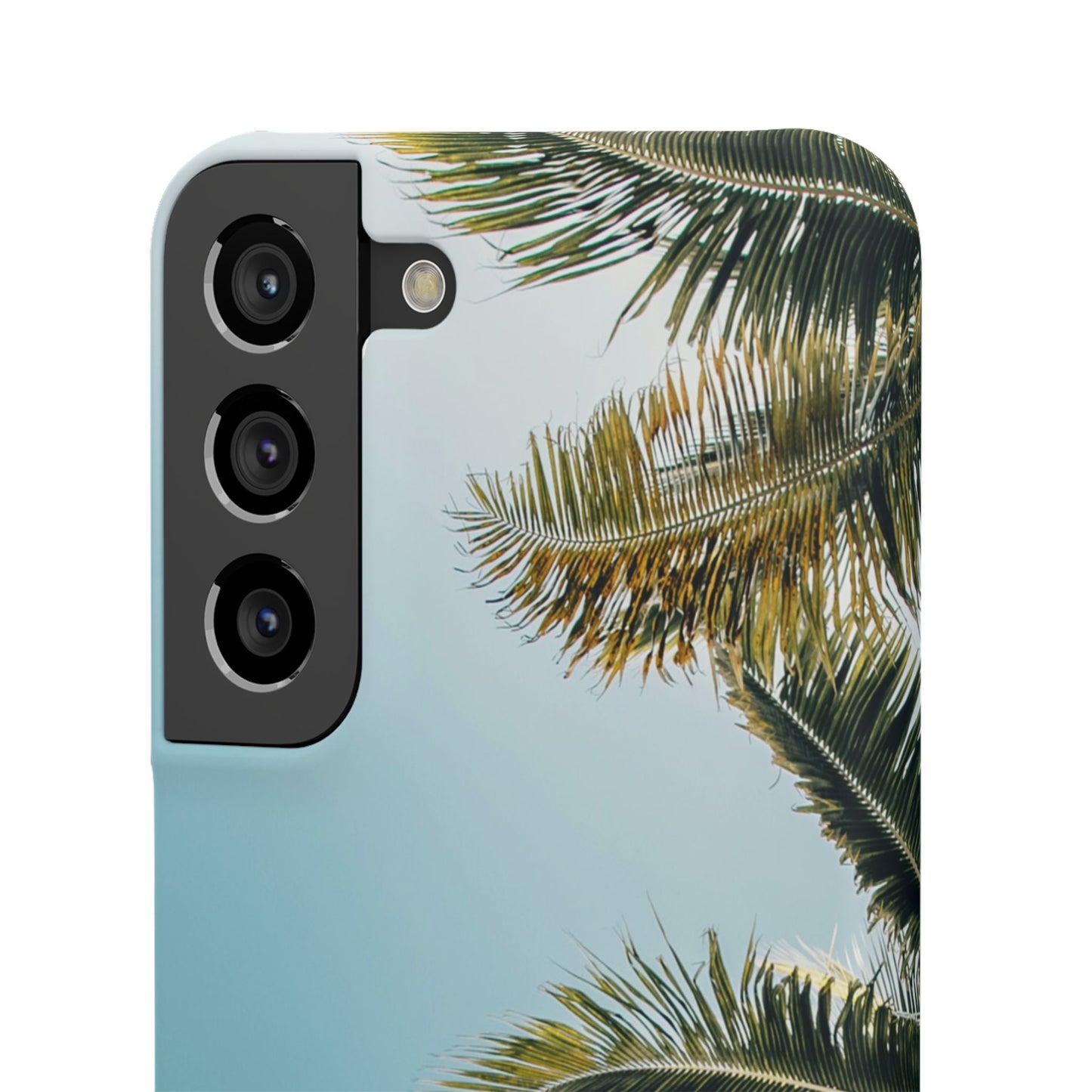 Tropical Palm Cajasol – Summer Vibes for Beach Lovers