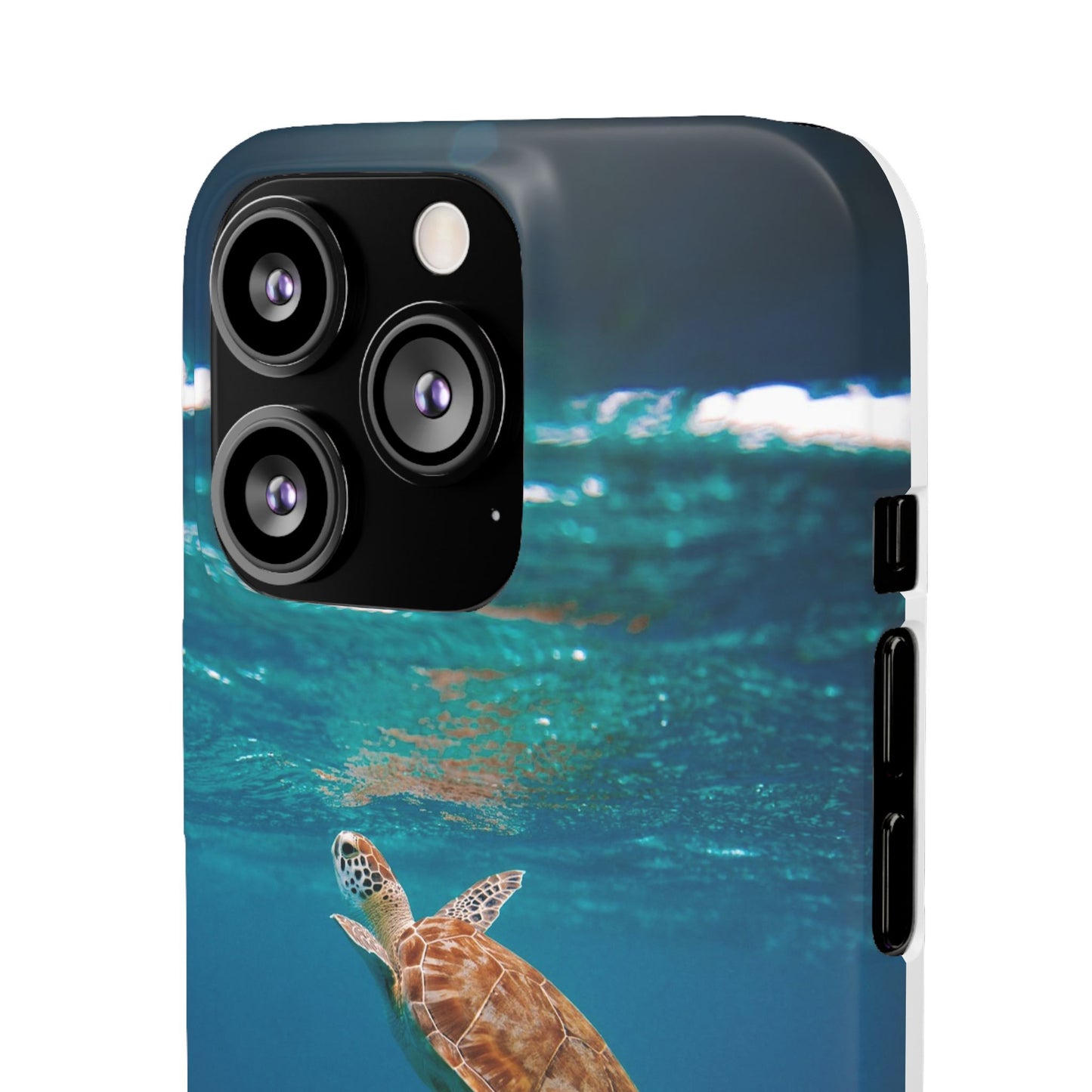 Sea Turtle Cajasol - Perfect for Beach Lovers