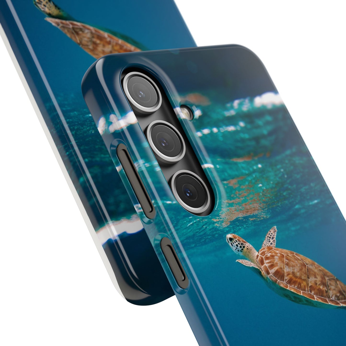 Sea Turtle Cajasol - Perfect for Beach Lovers