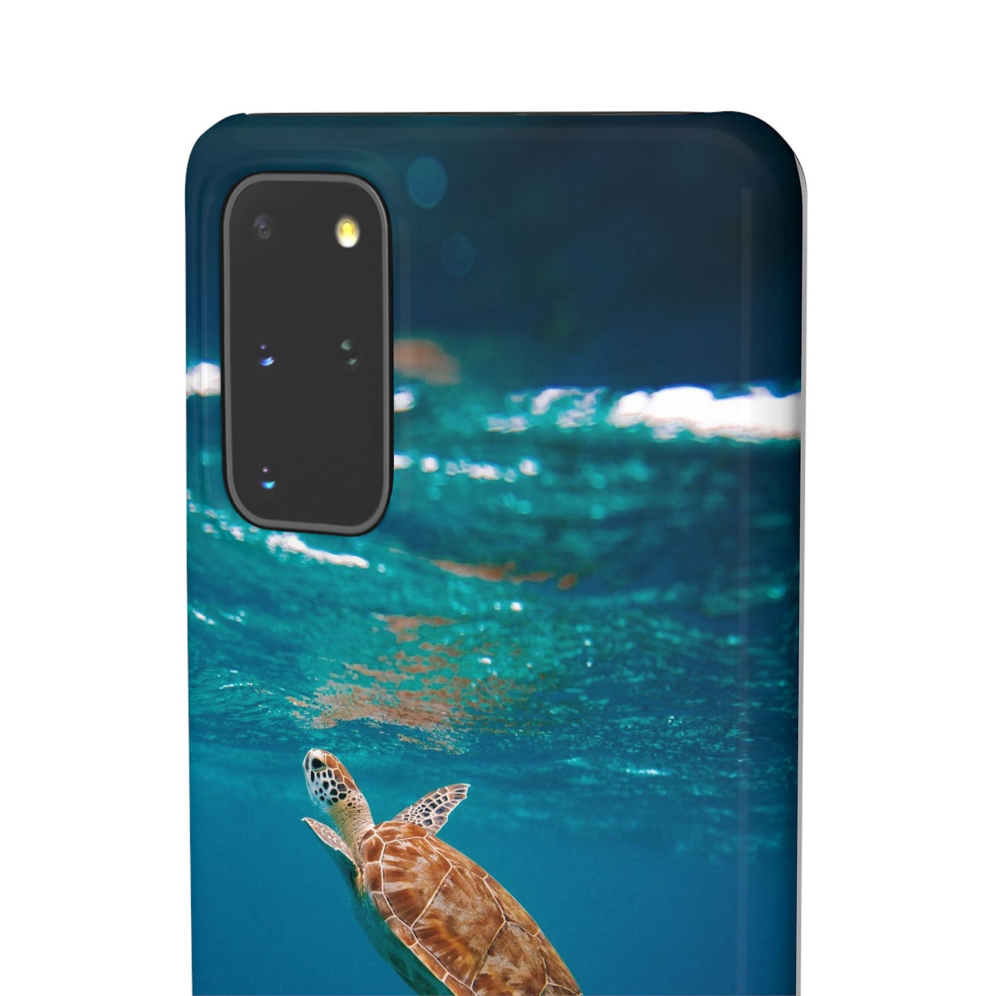 Sea Turtle Cajasol - Perfect for Beach Lovers