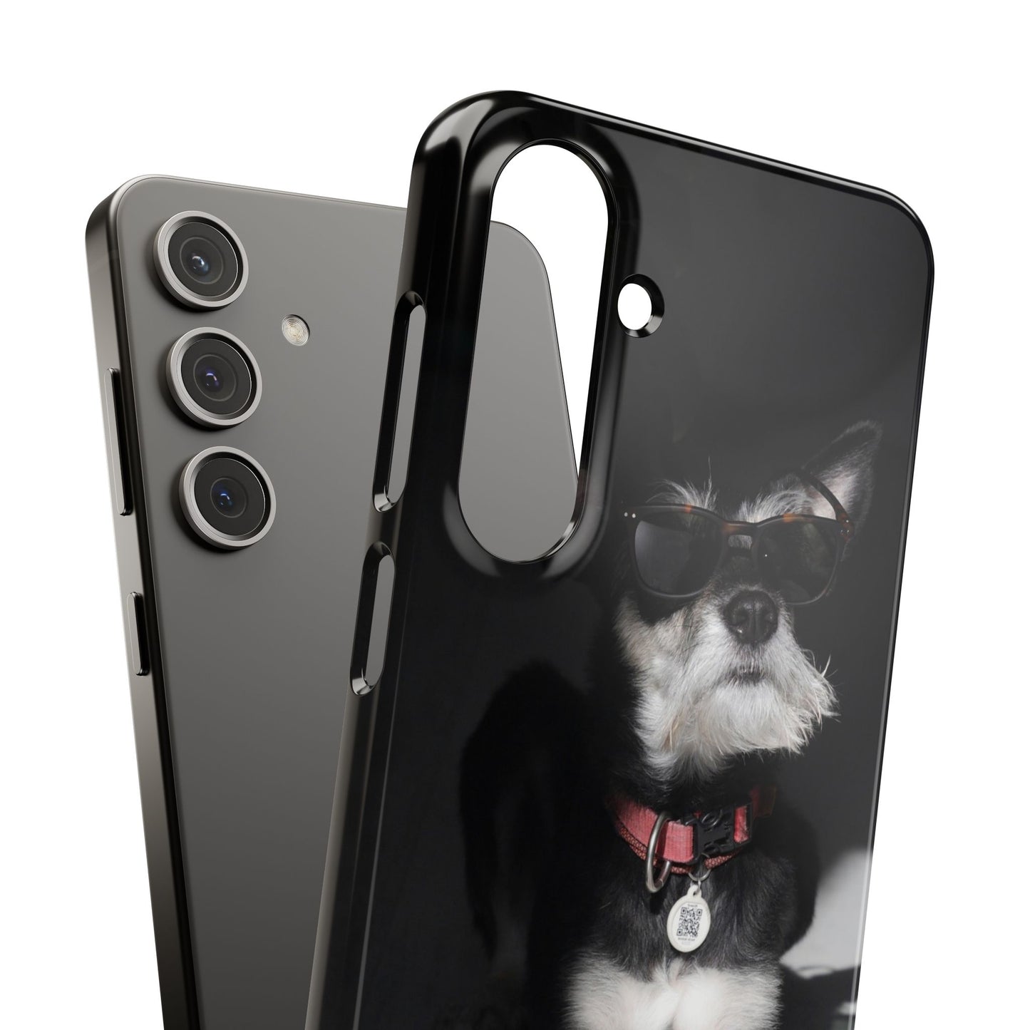 Cool Dog Cajasol - Stylish Pet