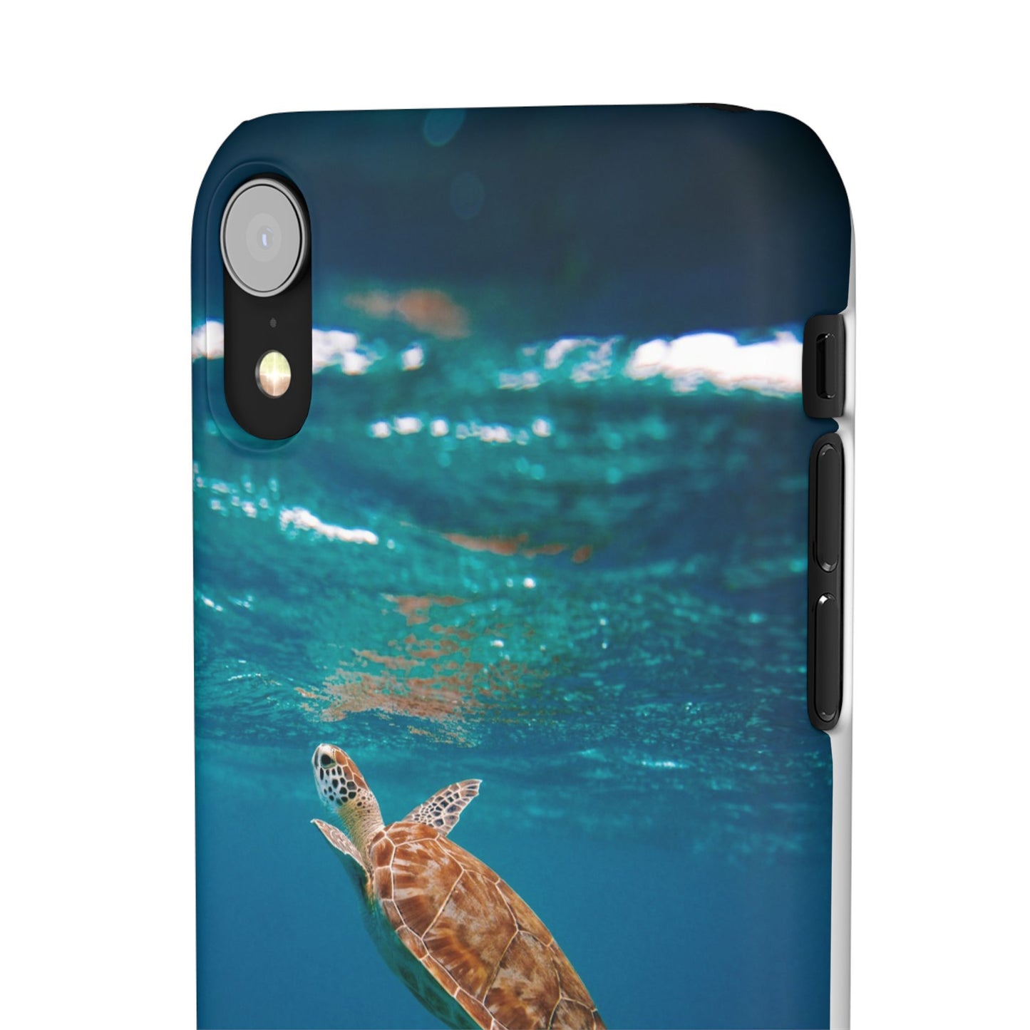 Sea Turtle Cajasol - Perfect for Beach Lovers