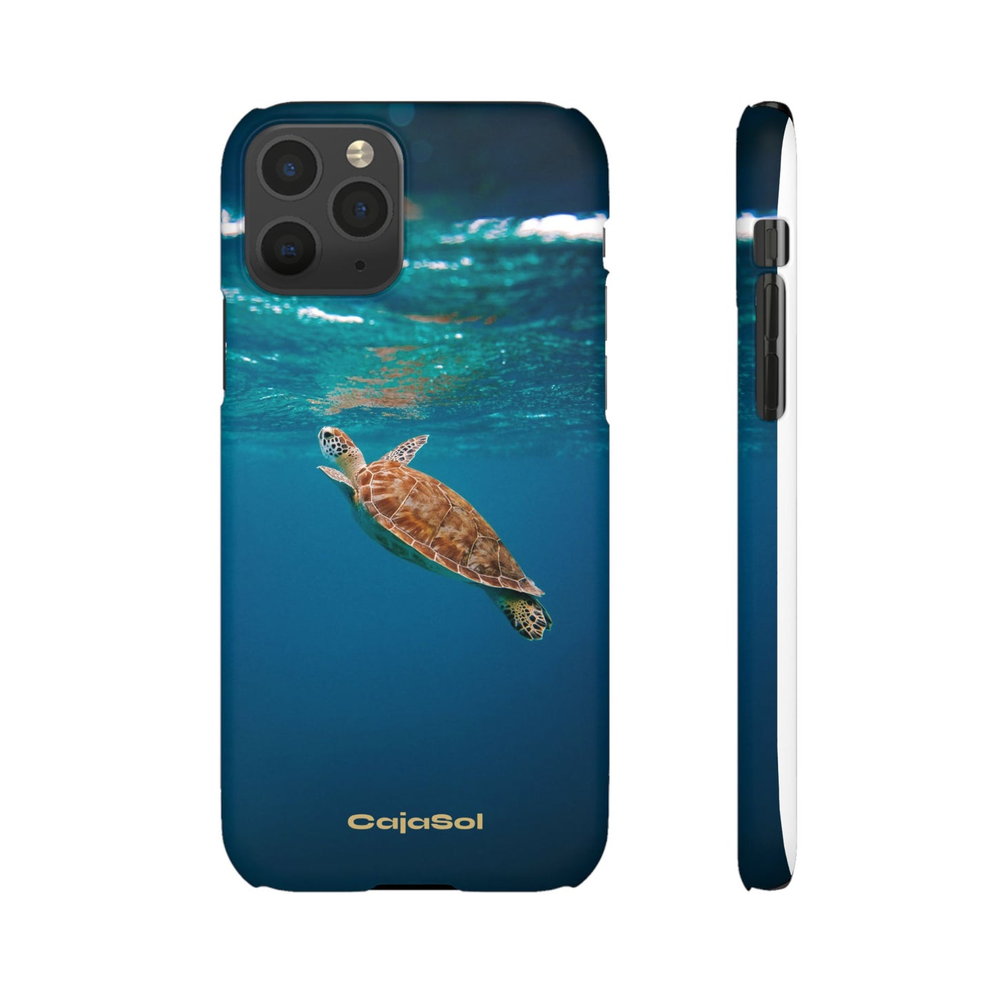 Sea Turtle Cajasol - Perfect for Beach Lovers