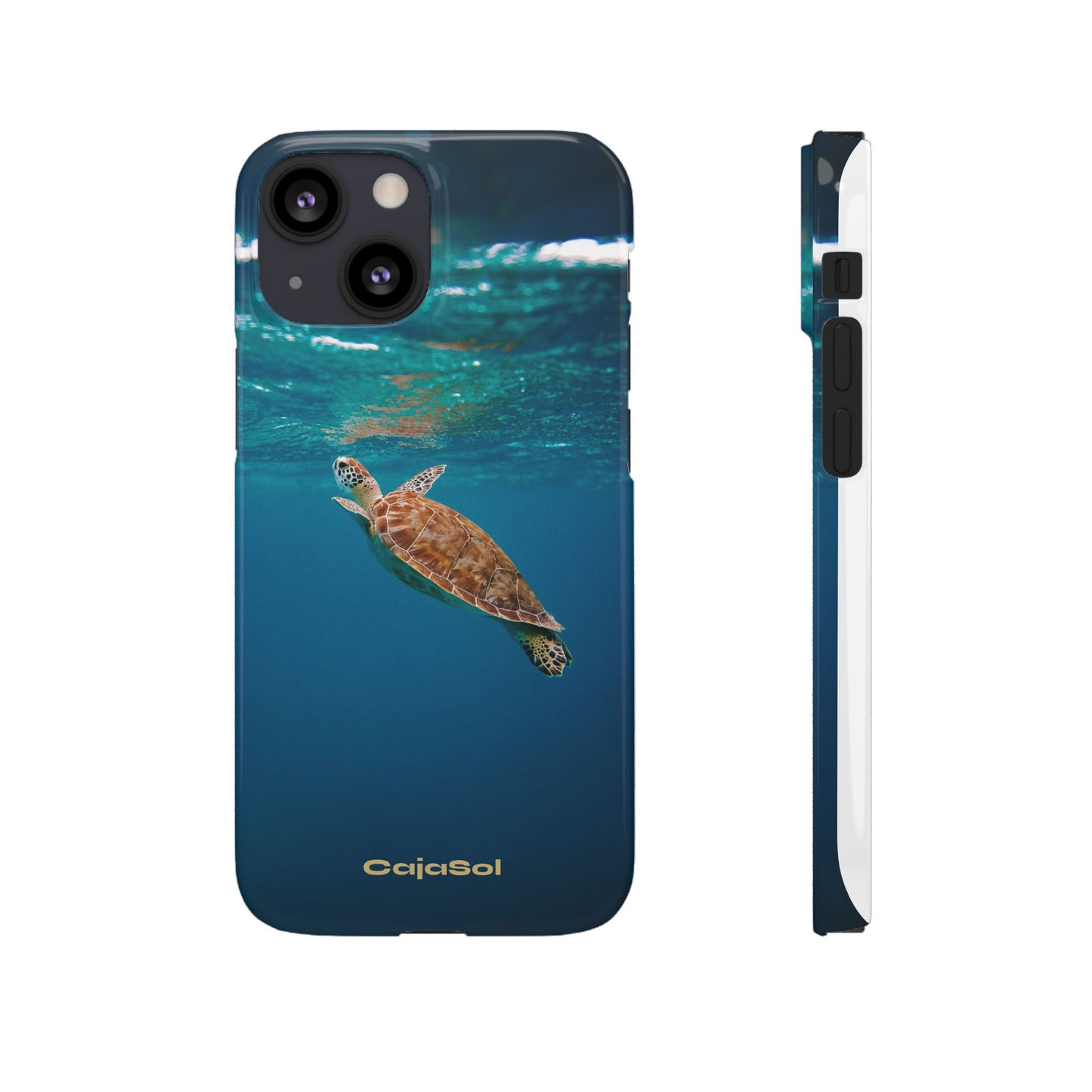 Sea Turtle Cajasol - Perfect for Beach Lovers