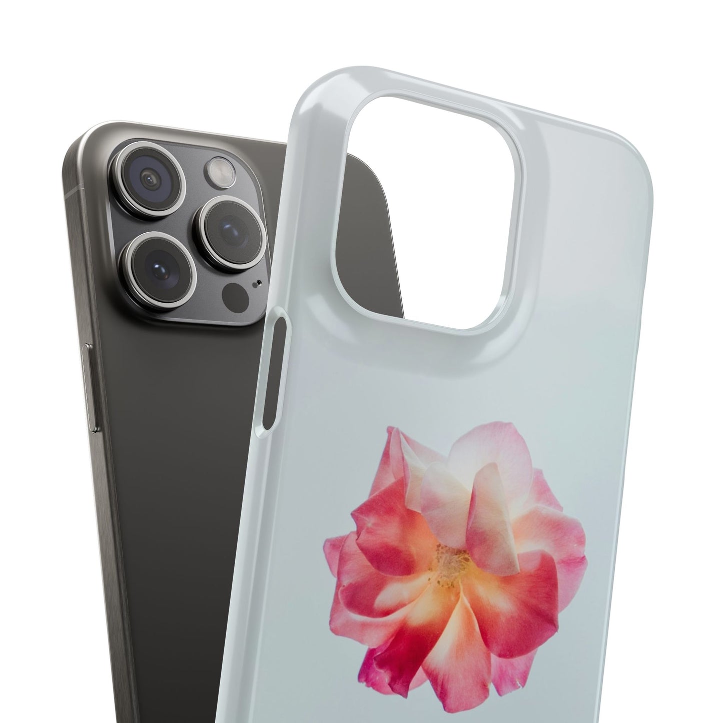 Floral Cajasol - Elegant Pink Flower