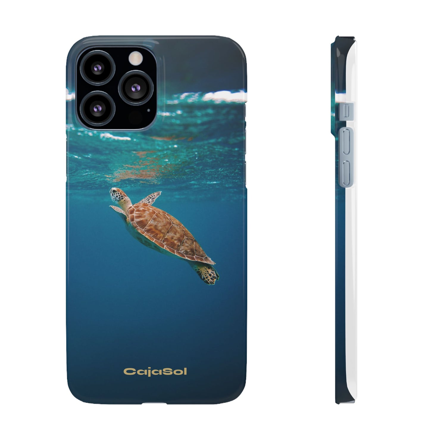 Sea Turtle Cajasol - Perfect for Beach Lovers