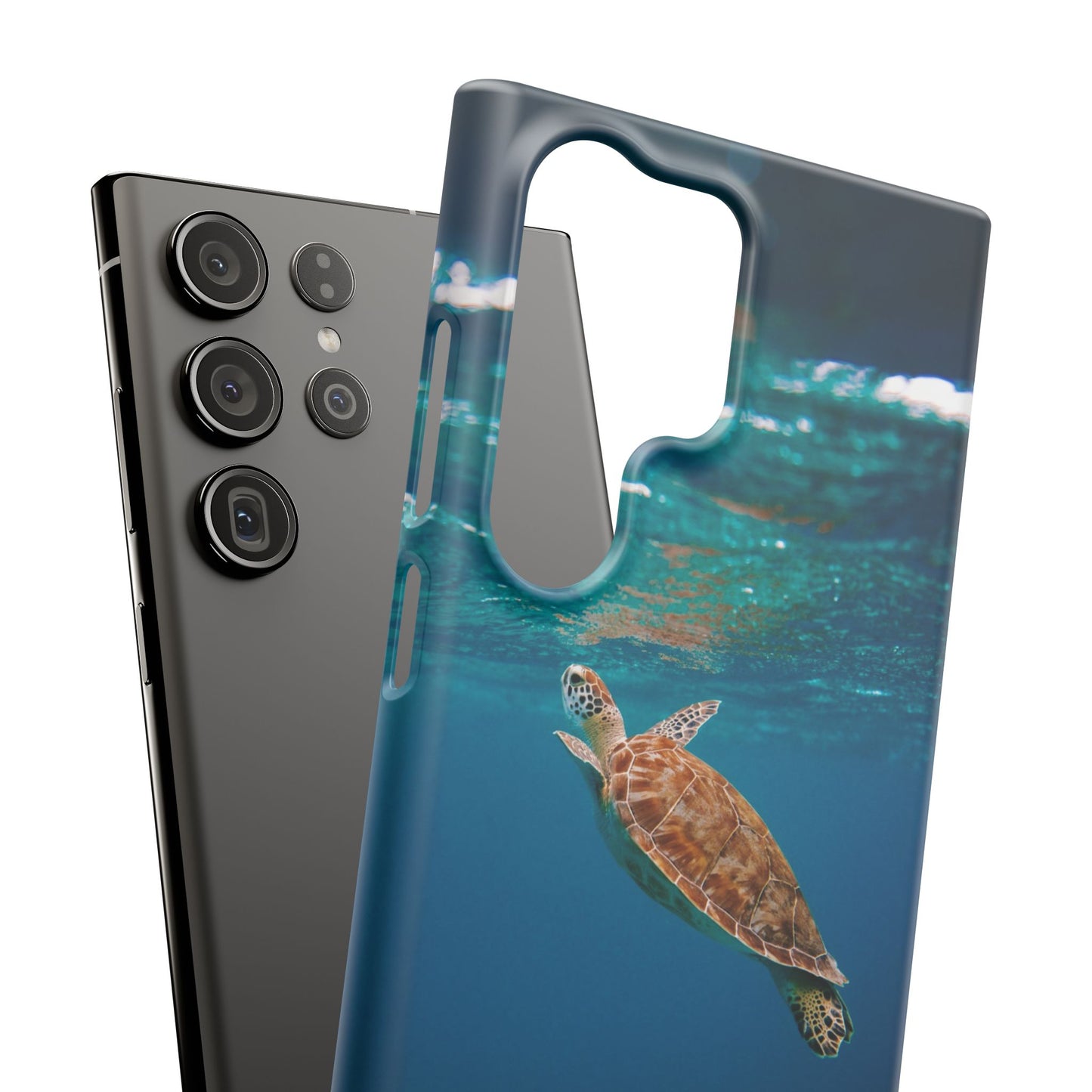 Sea Turtle Cajasol - Perfect for Beach Lovers