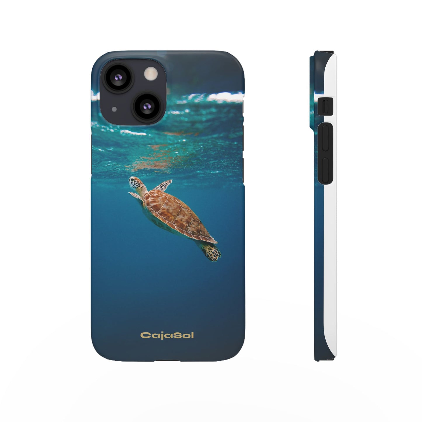 Sea Turtle Cajasol - Perfect for Beach Lovers