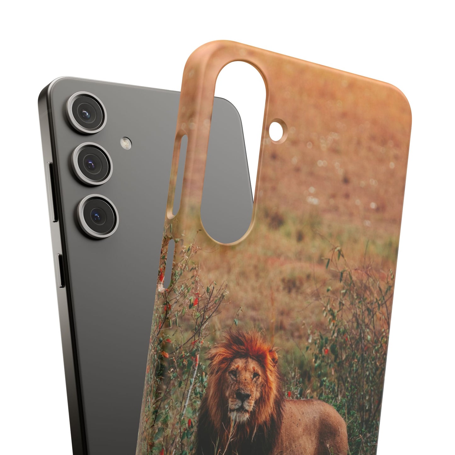 Majestic Lion Cajasol - Nature Inspired