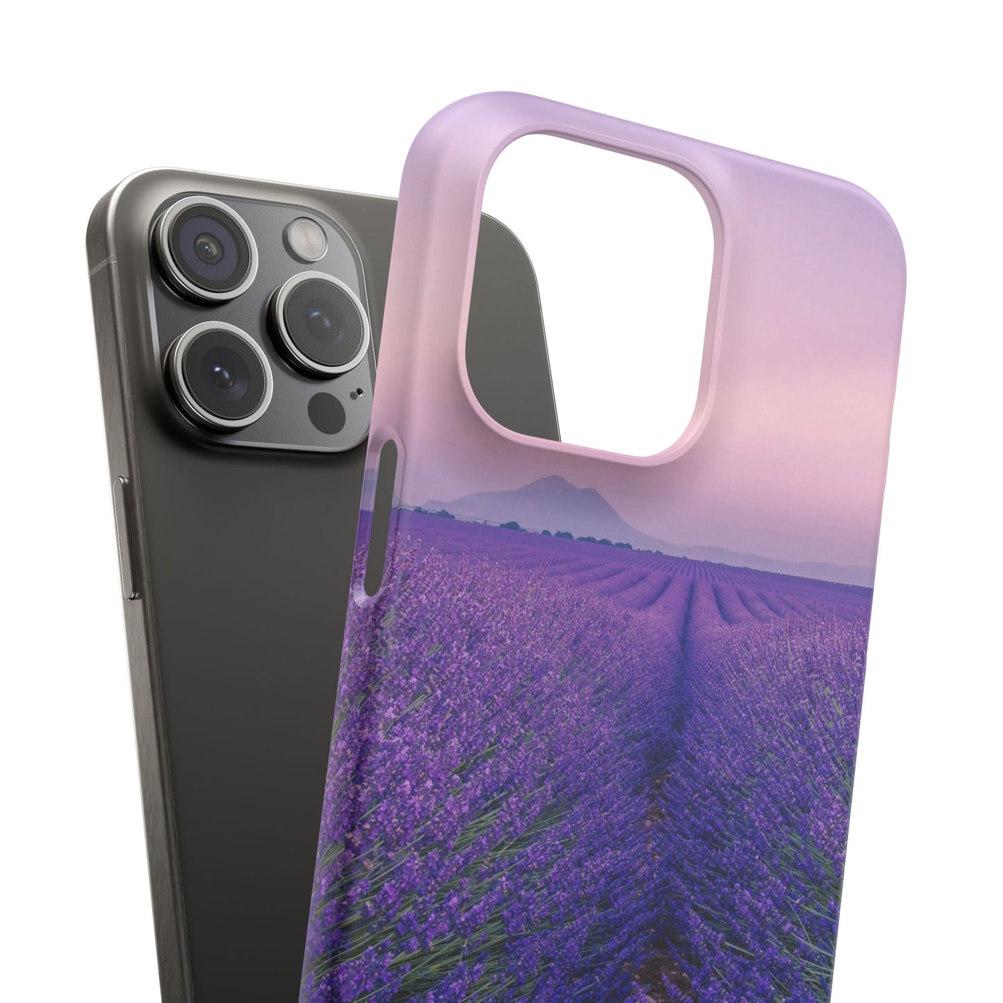 Lavender Fields Cajasol - A Floral Touch for Nature Lovers