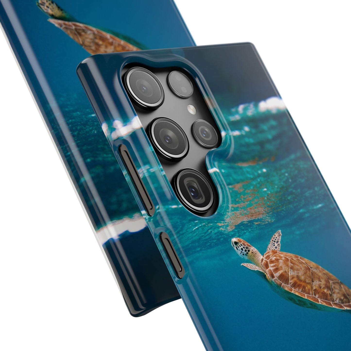 Sea Turtle Cajasol - Perfect for Beach Lovers