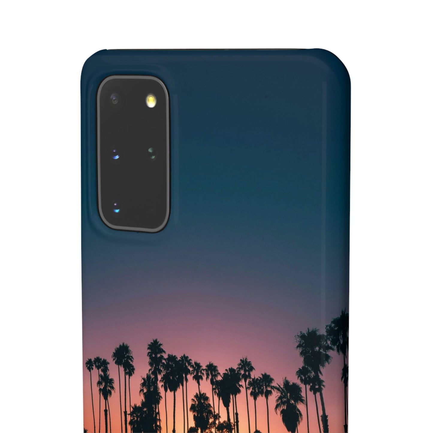 Tropical Sunset Cajasol - Vibrant Palm Tree