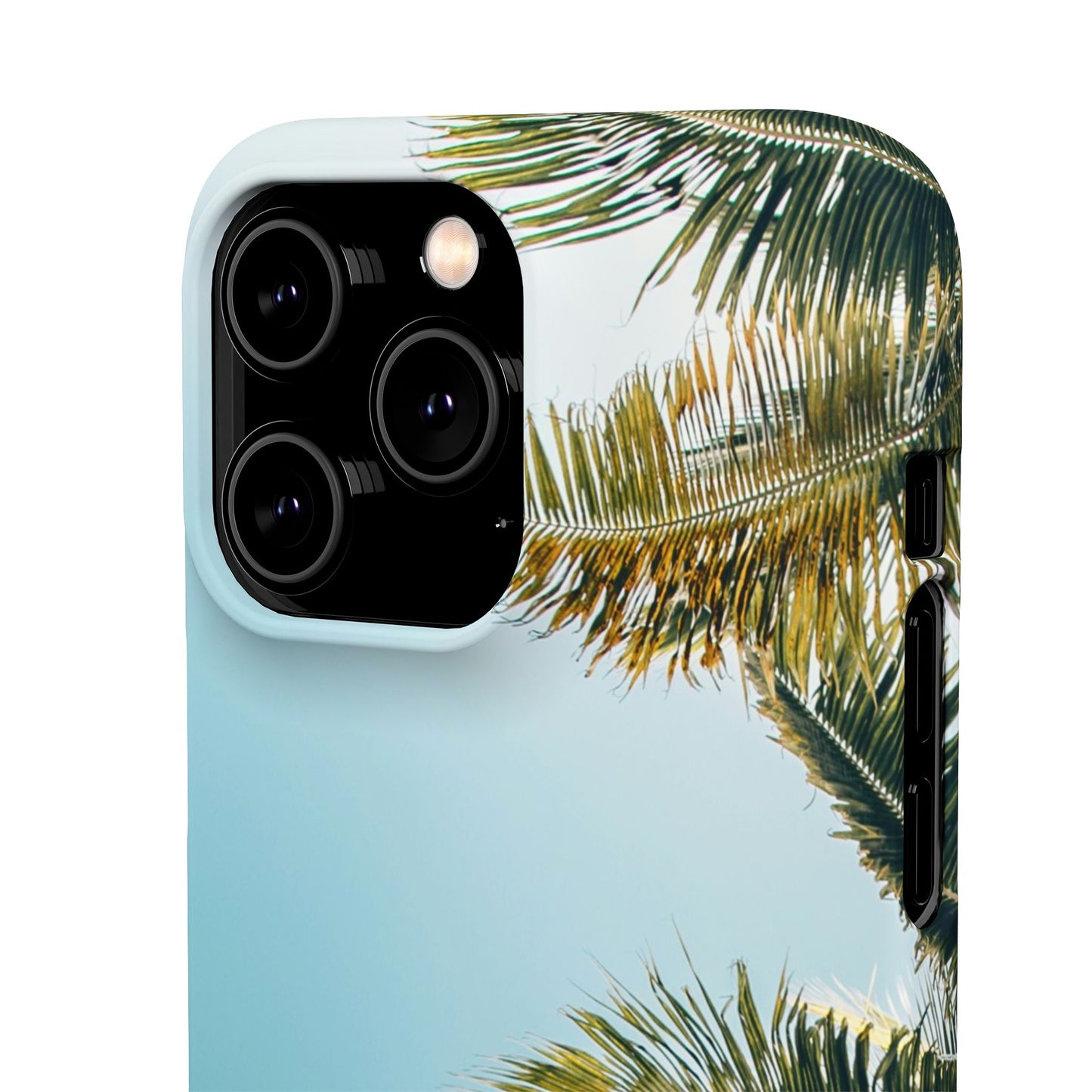 Tropical Palm Cajasol – Summer Vibes for Beach Lovers