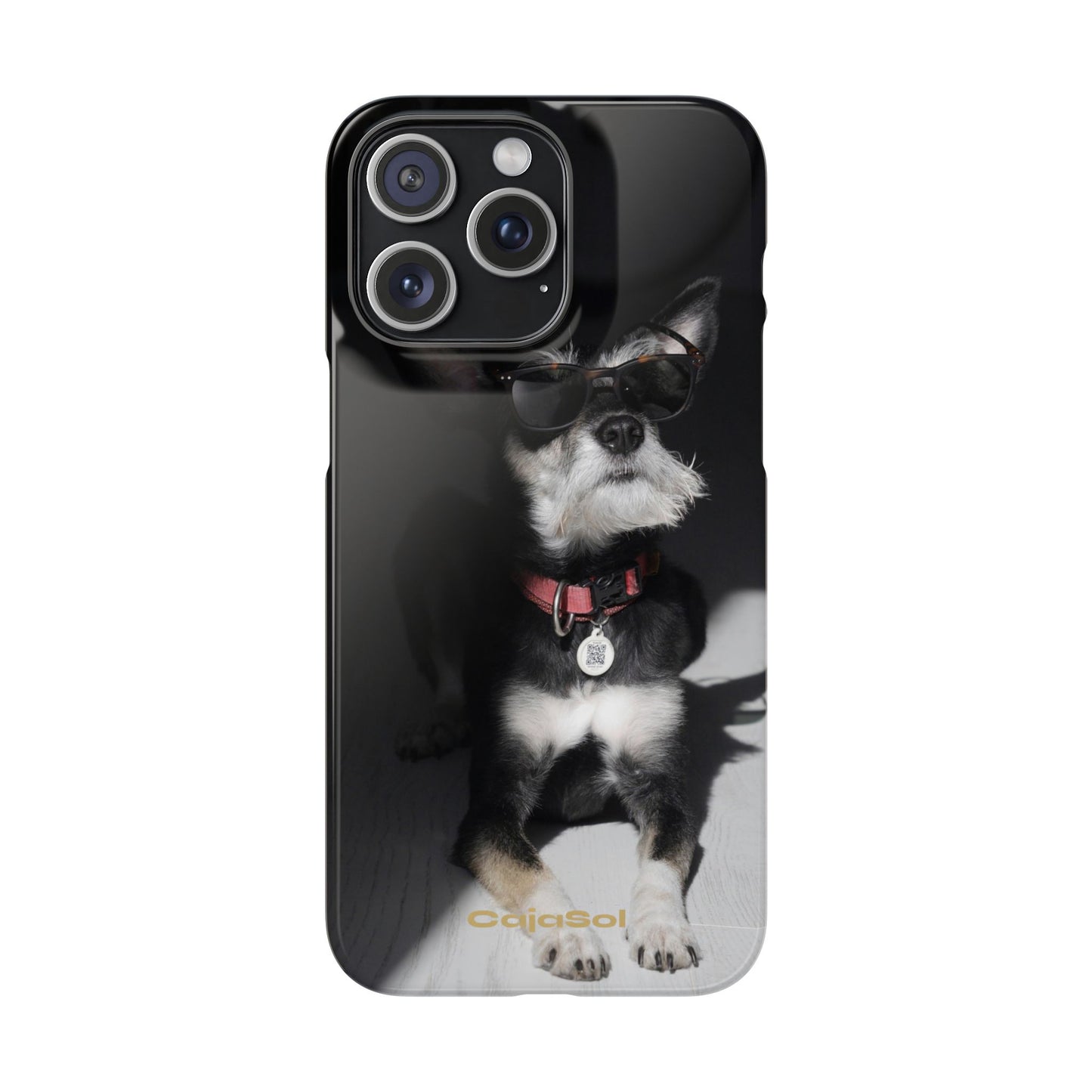 Cool Dog Cajasol - Stylish Pet