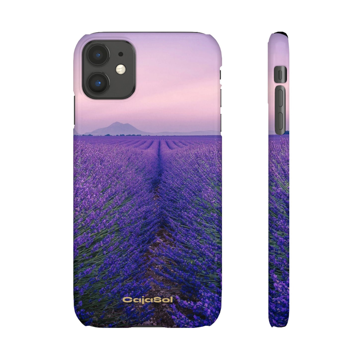 Lavender Fields Cajasol - A Floral Touch for Nature Lovers