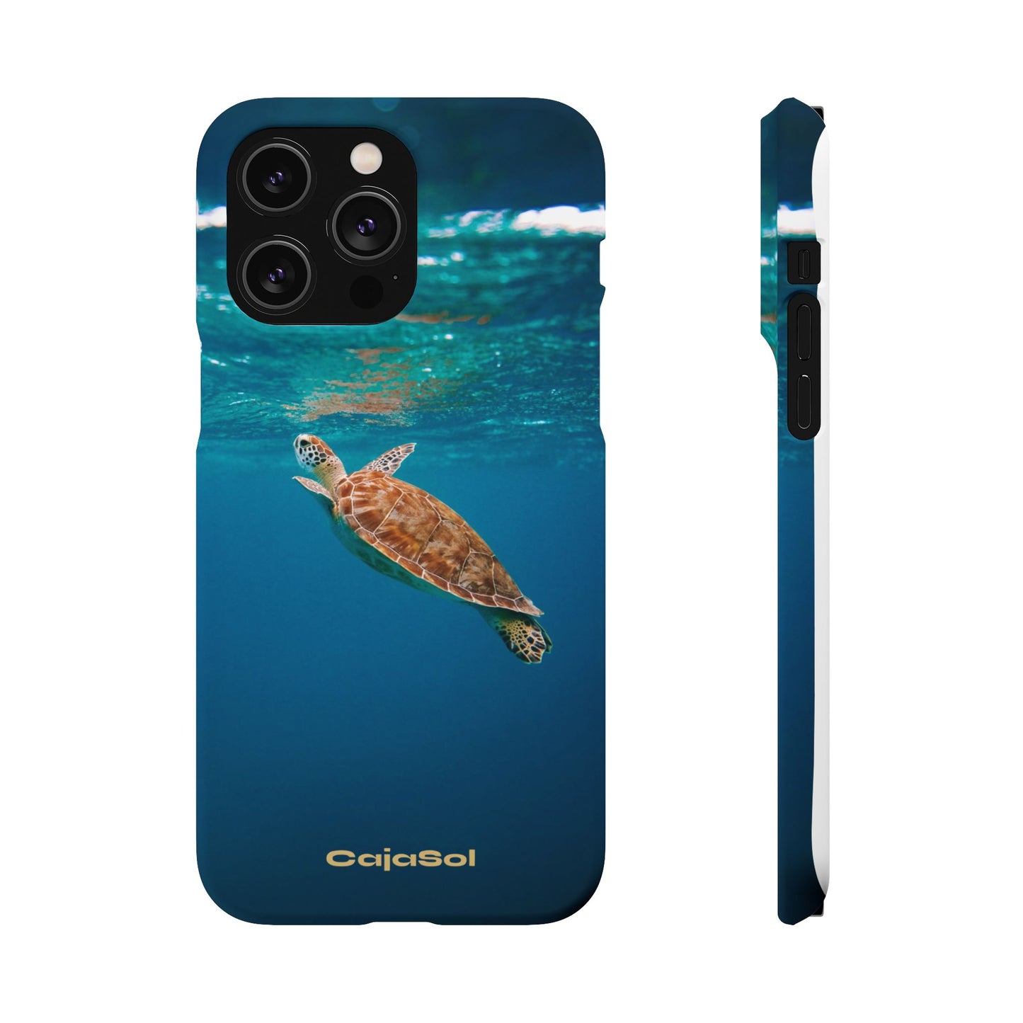 Sea Turtle Cajasol - Perfect for Beach Lovers
