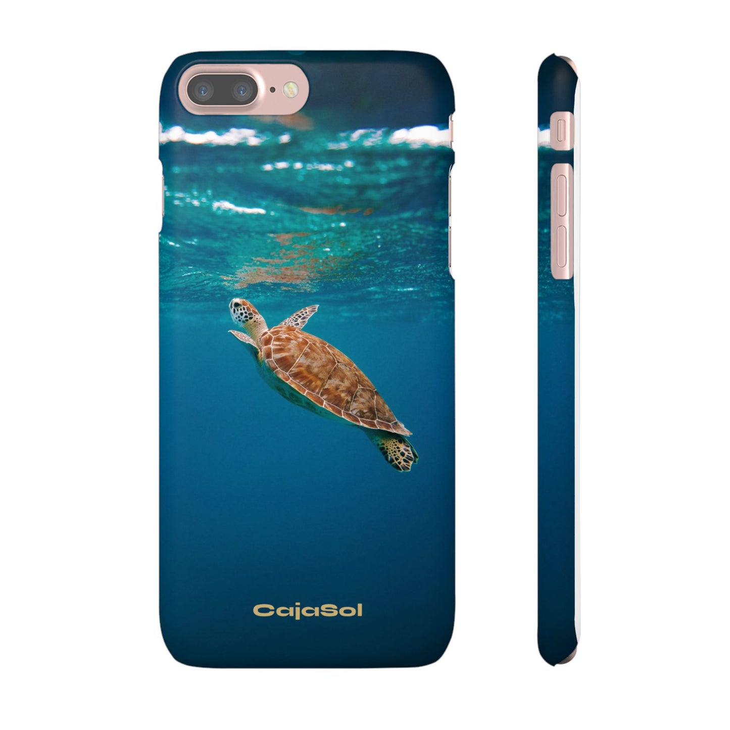 Sea Turtle Cajasol - Perfect for Beach Lovers