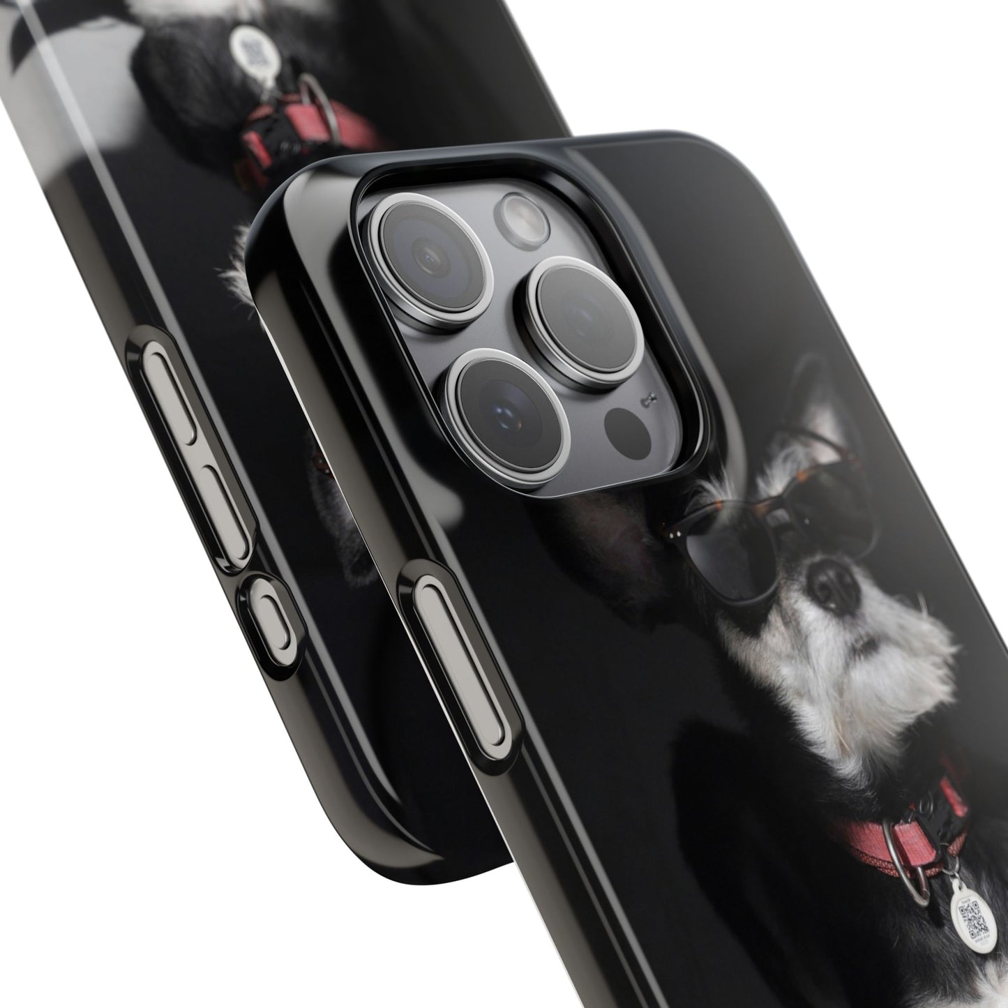 Cool Dog Cajasol - Stylish Pet