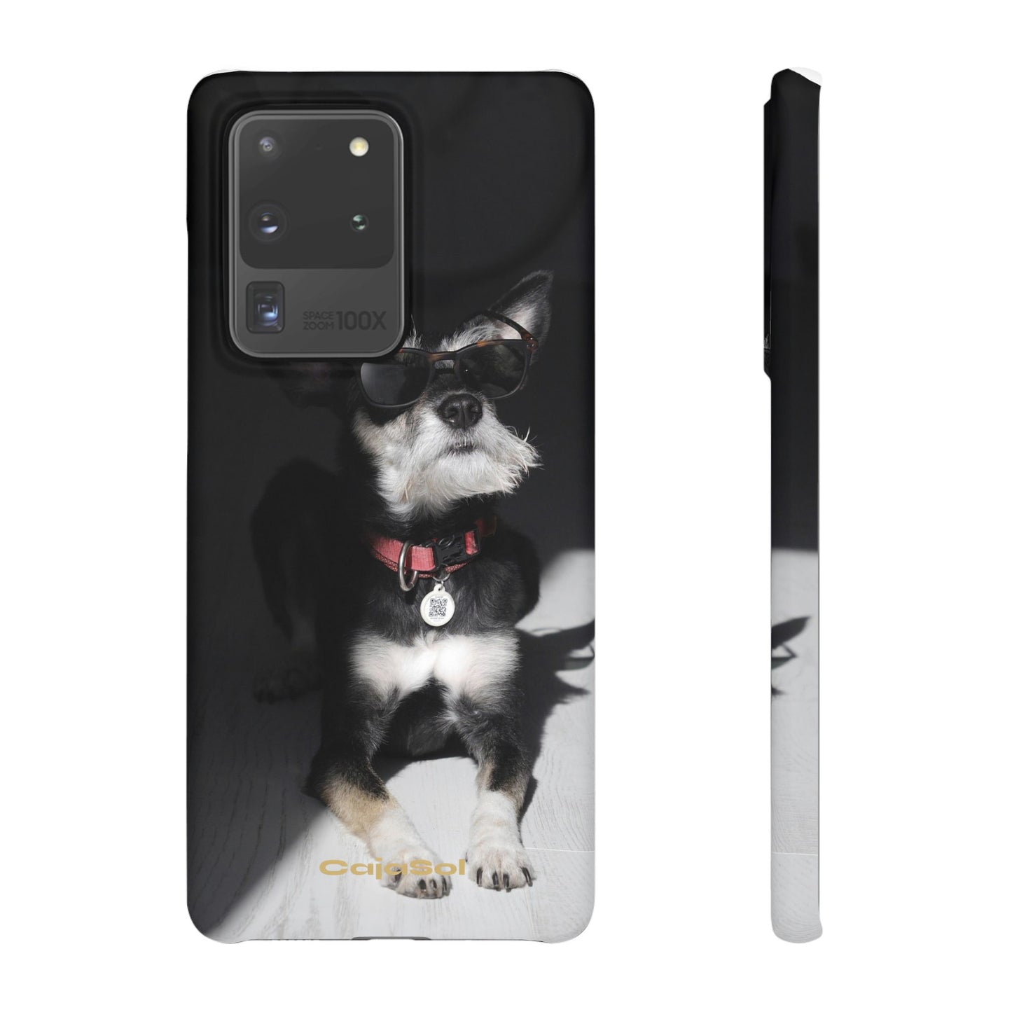 Cool Dog Cajasol - Stylish Pet