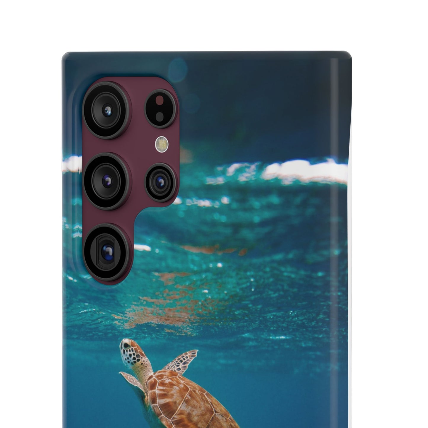 Sea Turtle Cajasol - Perfect for Beach Lovers