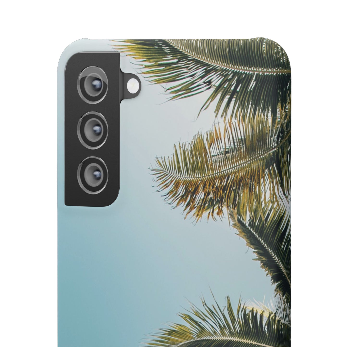 Tropical Palm Cajasol – Summer Vibes for Beach Lovers